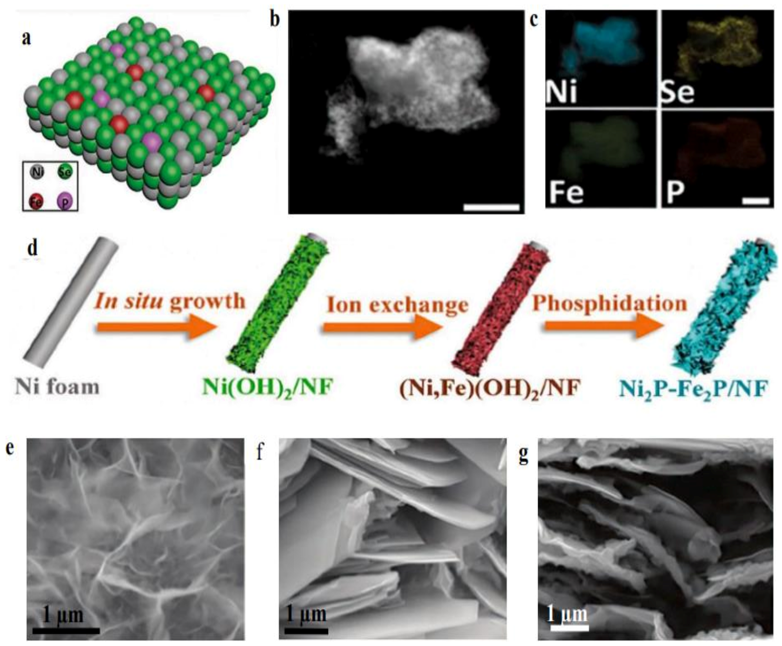 Membranes 13 00113 g007