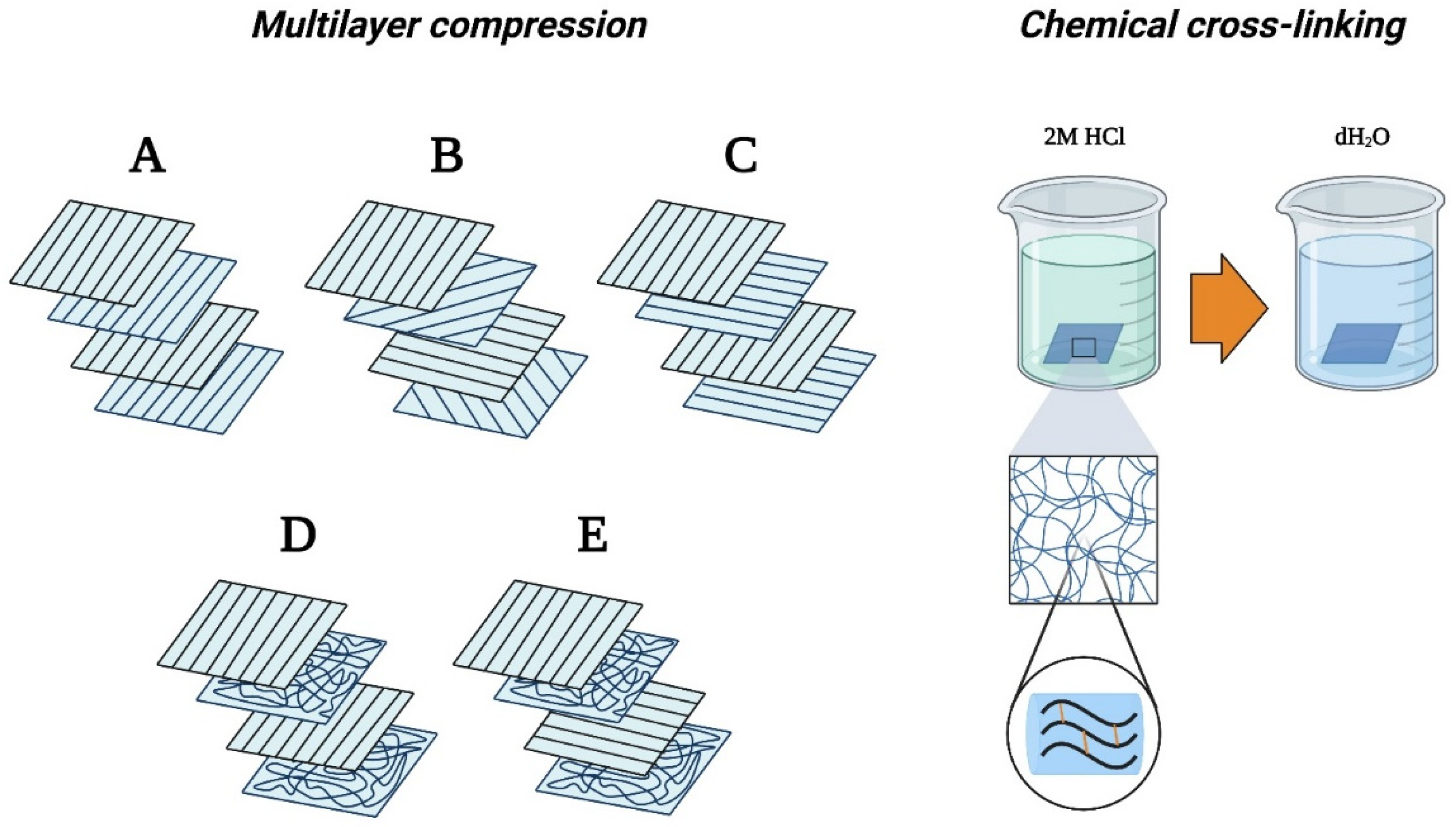 Membranes 13 00116 g002