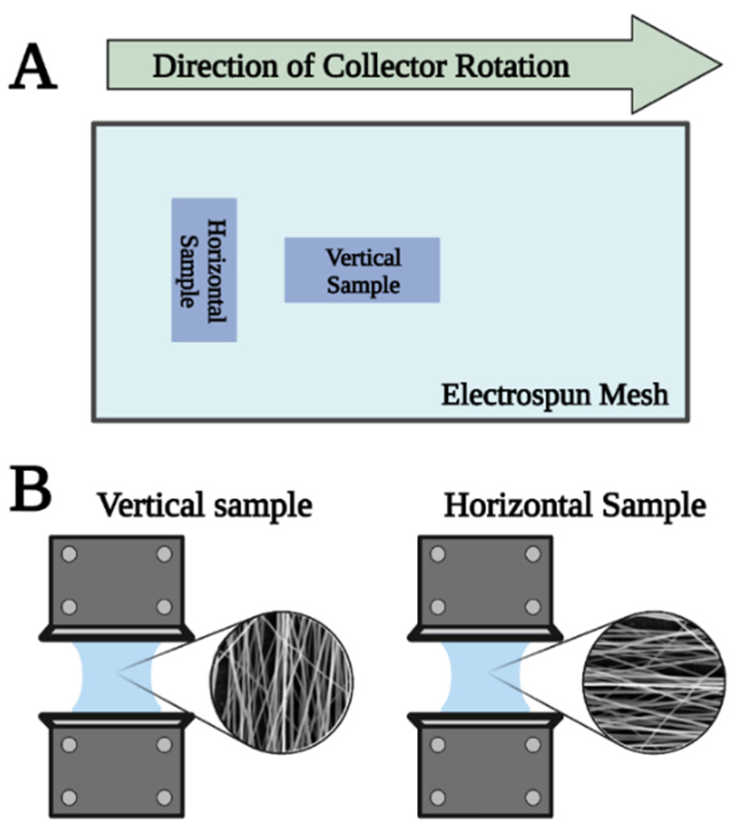 Membranes 13 00116 g003