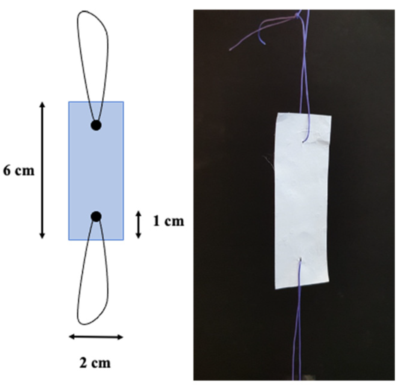 Membranes 13 00116 g004