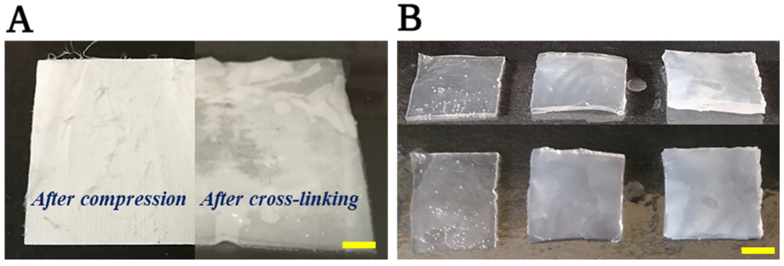 Membranes 13 00116 g006