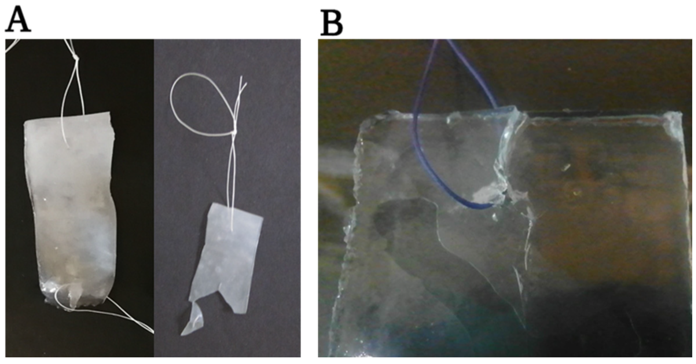 Membranes 13 00116 g015