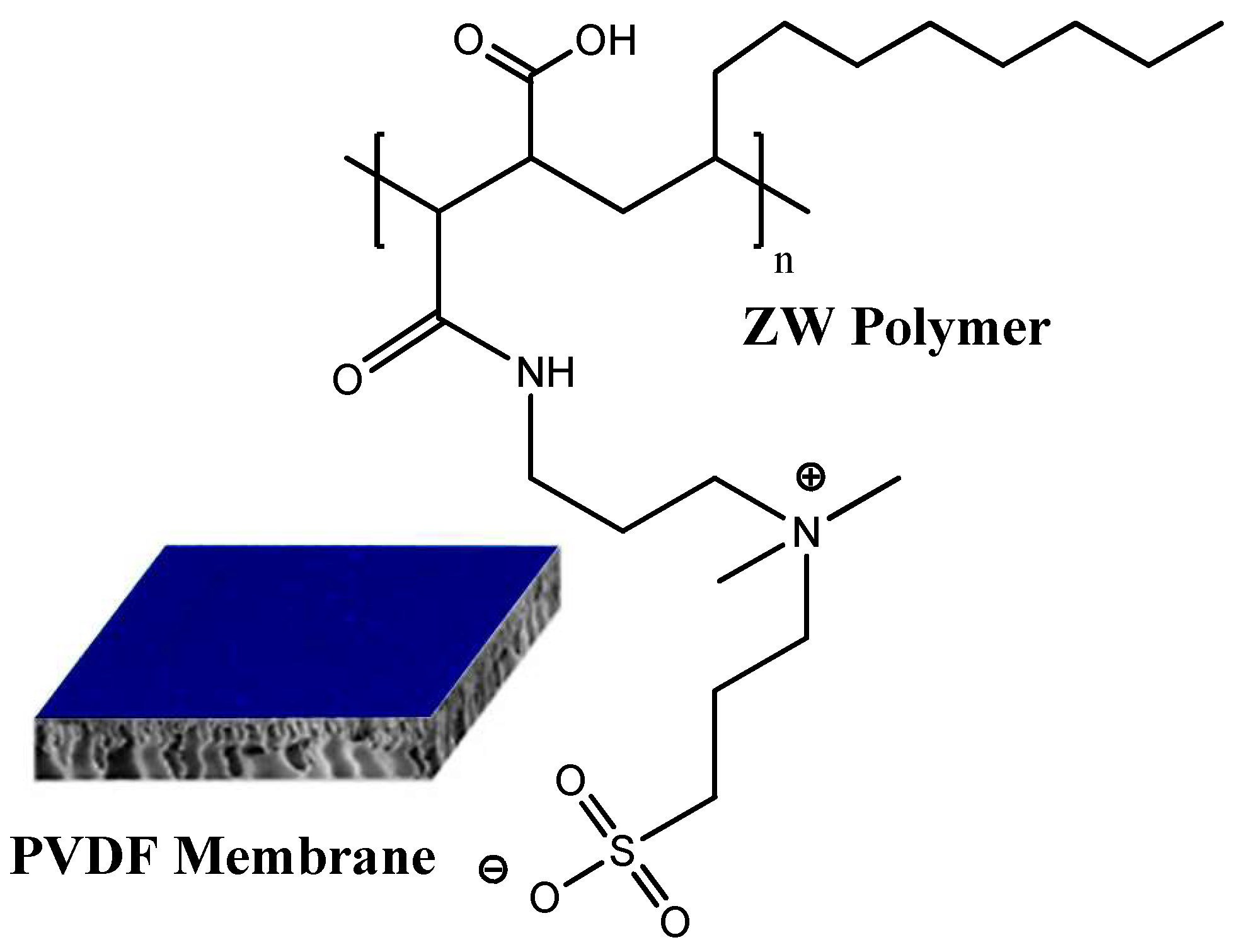 Membranes 13 00117 g001 Membranes 13 00117 g001