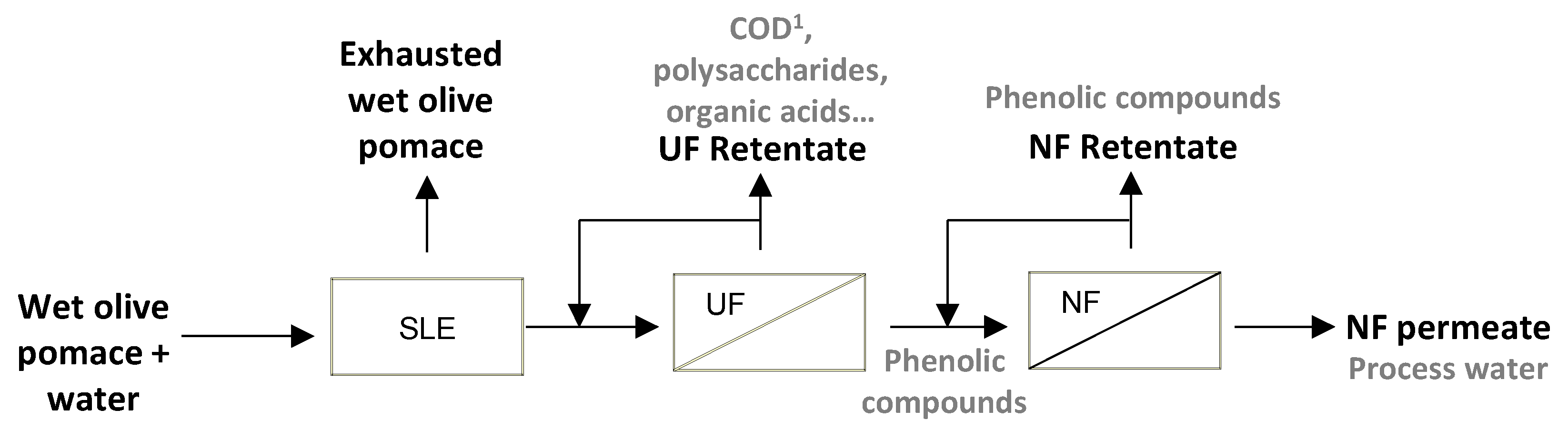 Membranes 13 00119 g001