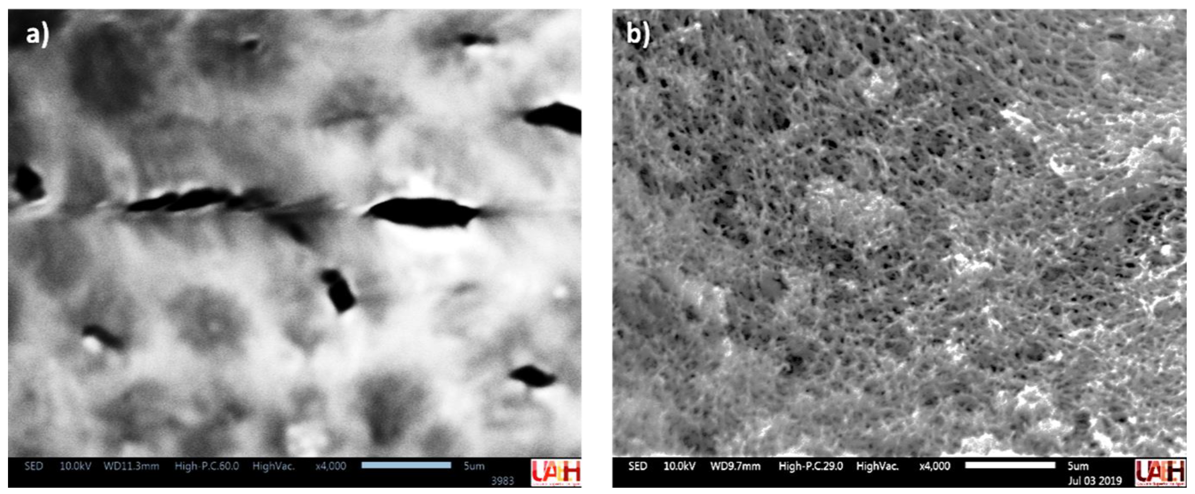 Membranes 13 00123 g001