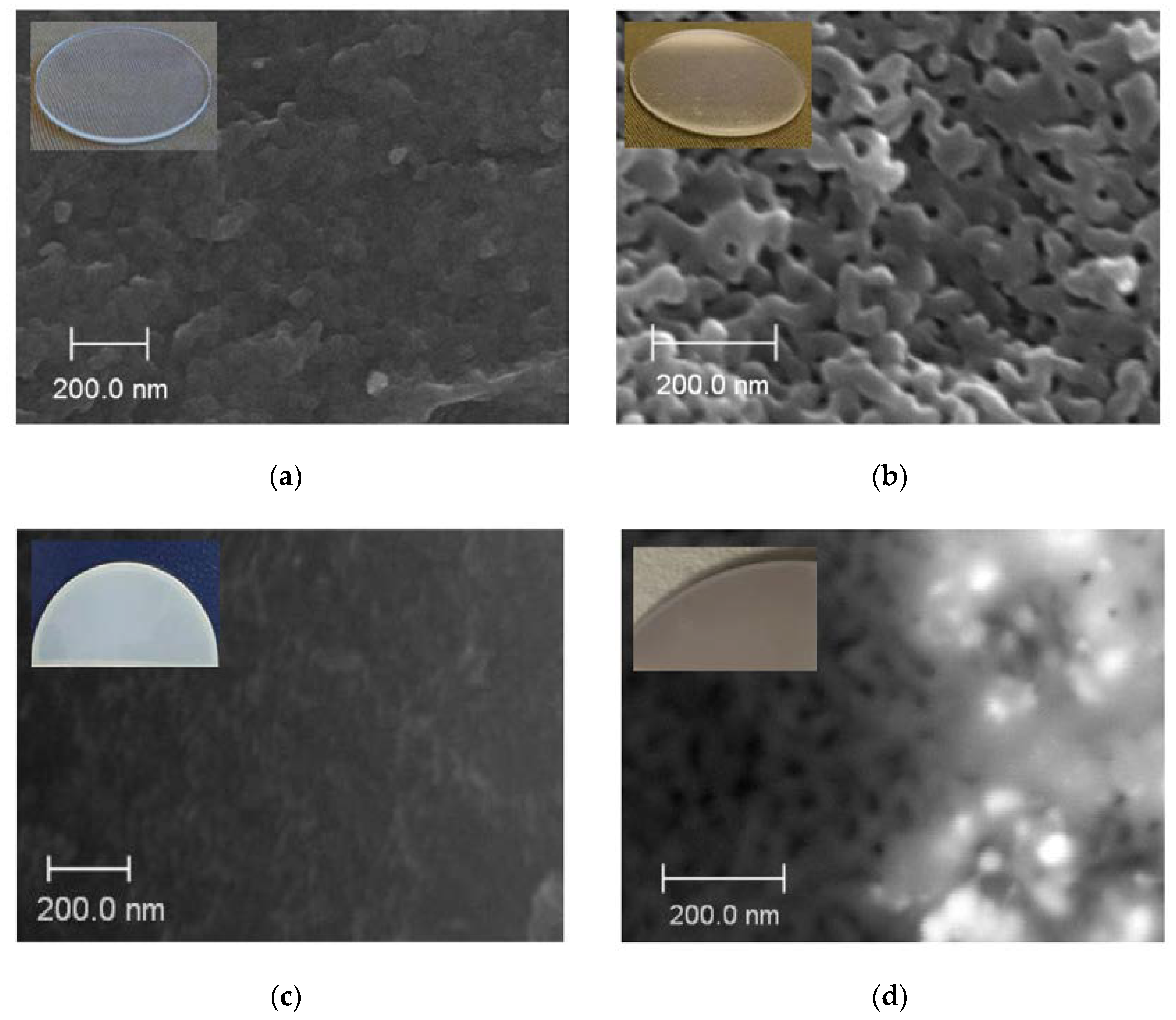 Membranes 13 00126 g003