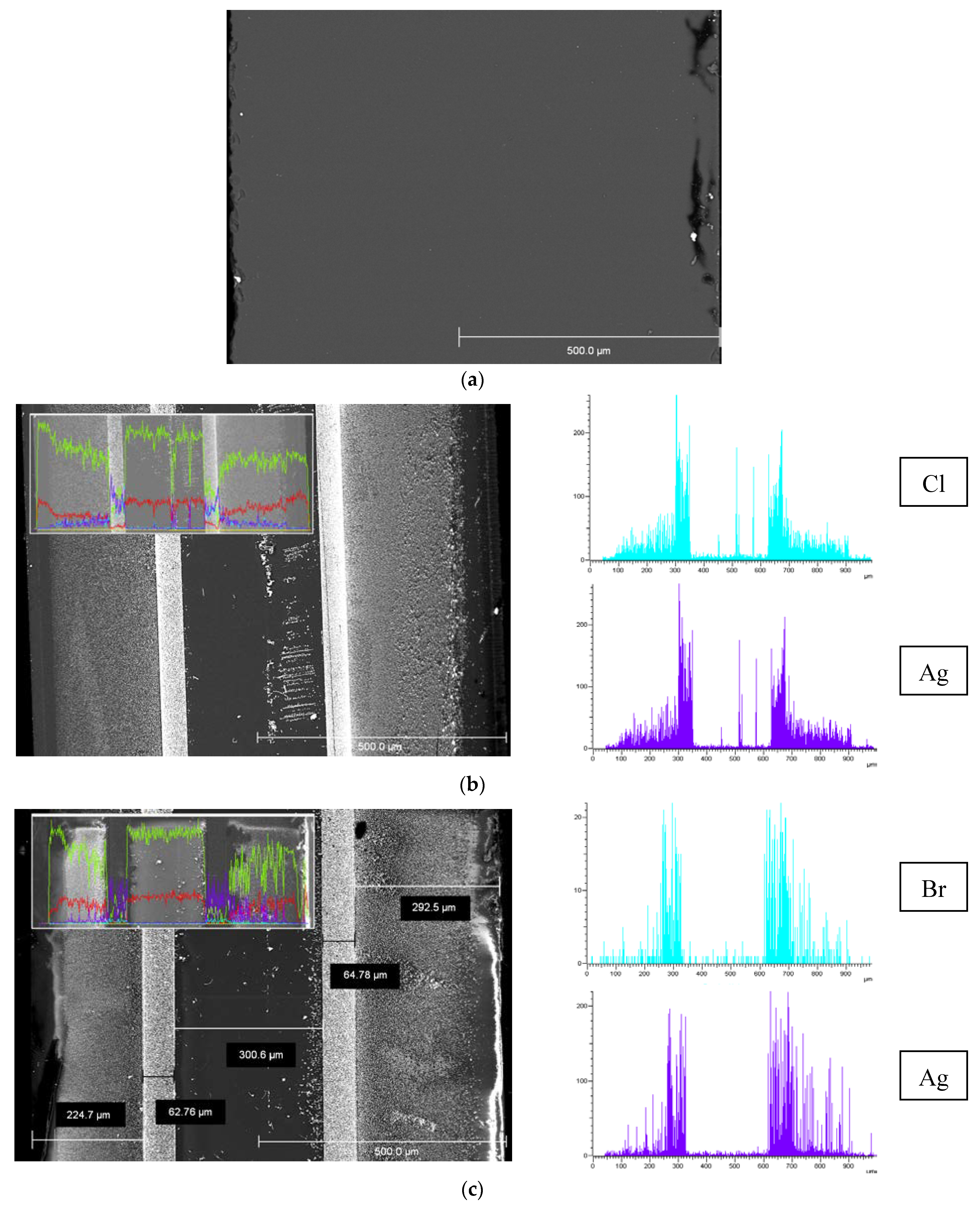 Membranes 13 00126 g004