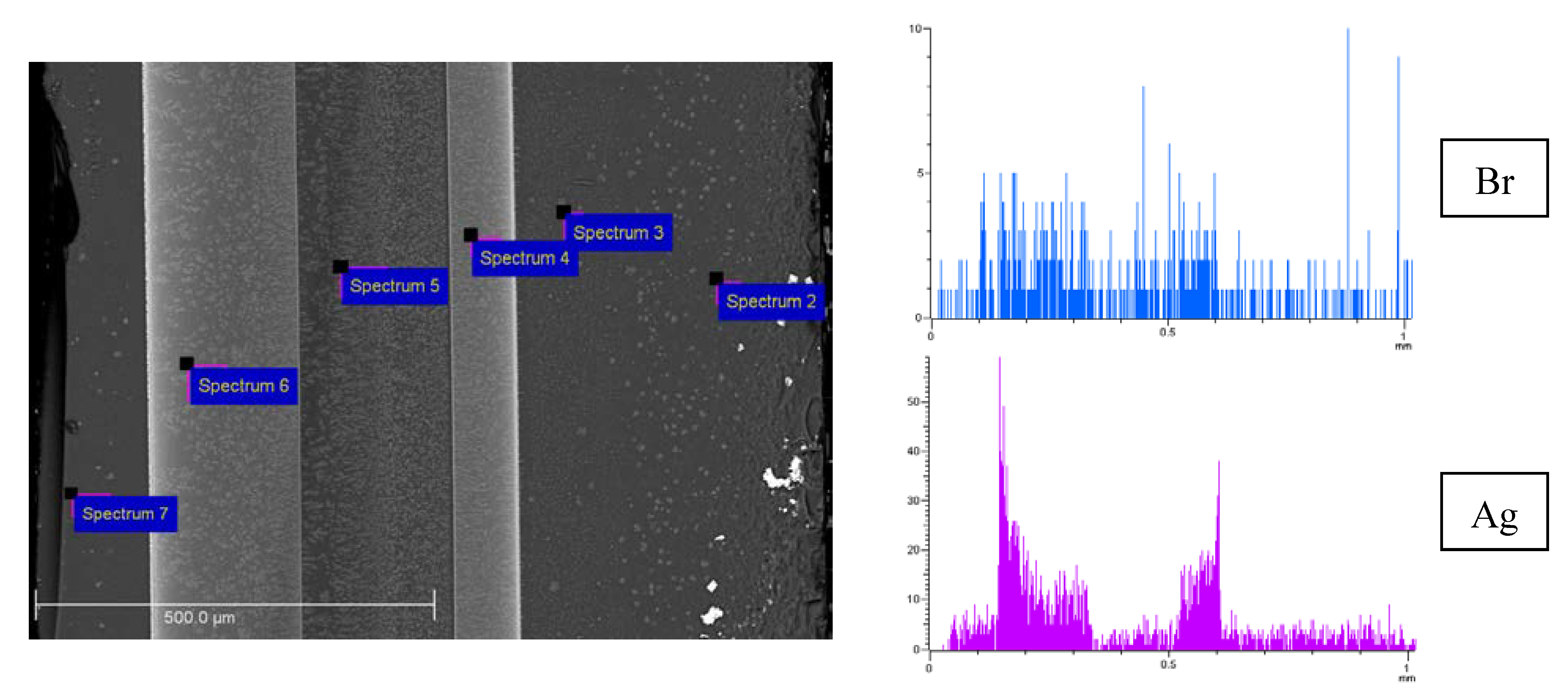 Membranes 13 00126 g005