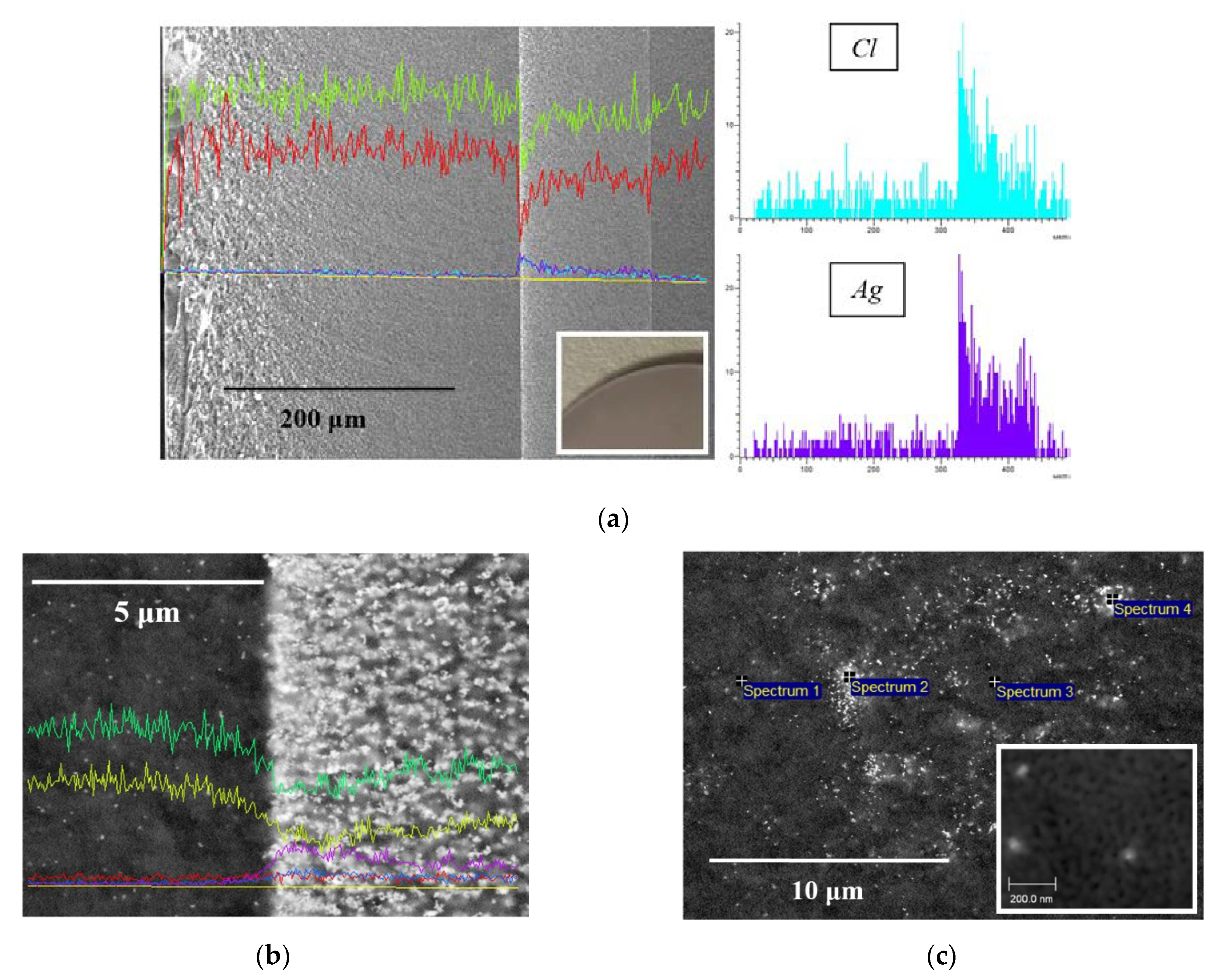 Membranes 13 00126 g006