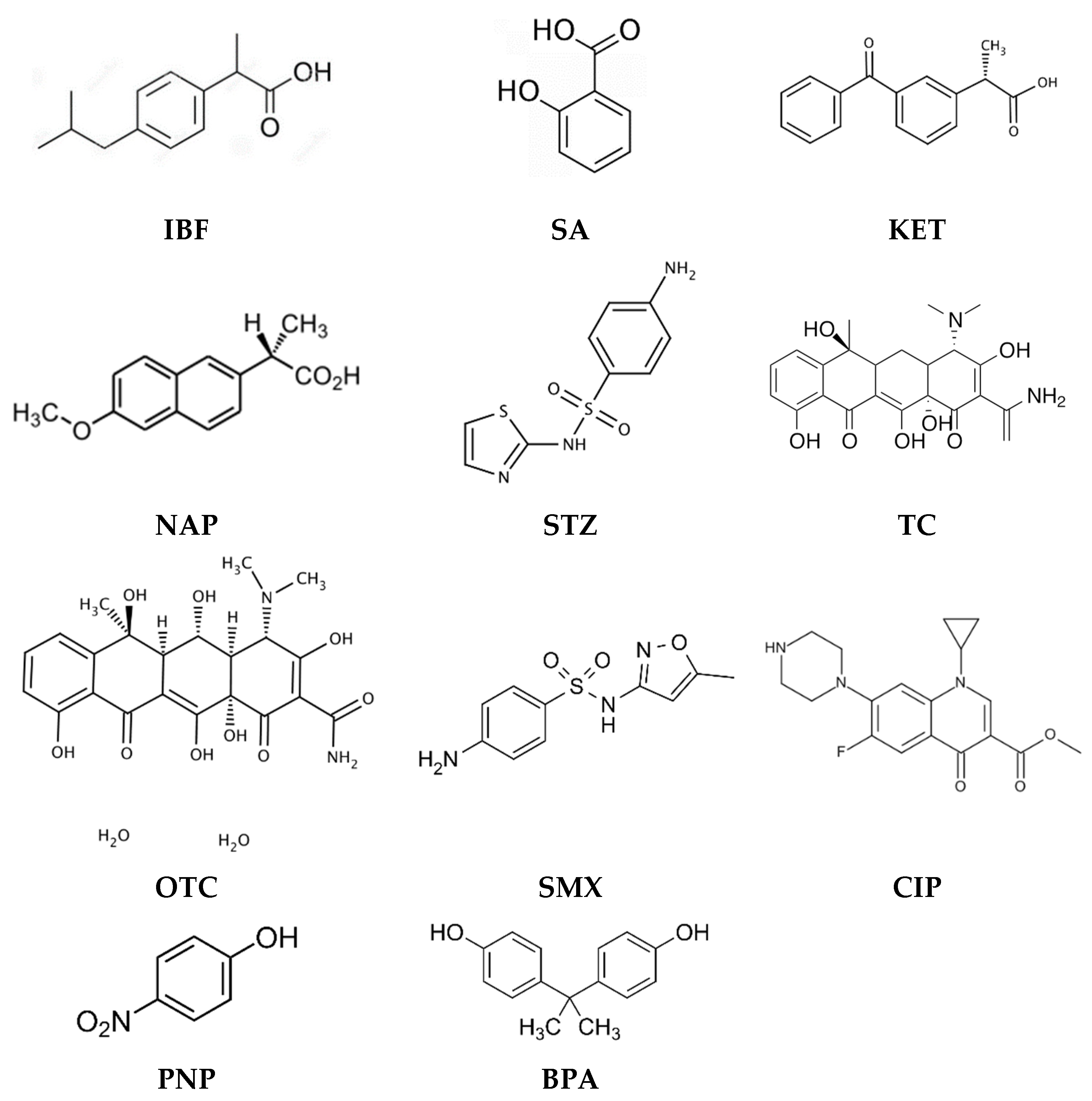 Membranes 13 00132 g001