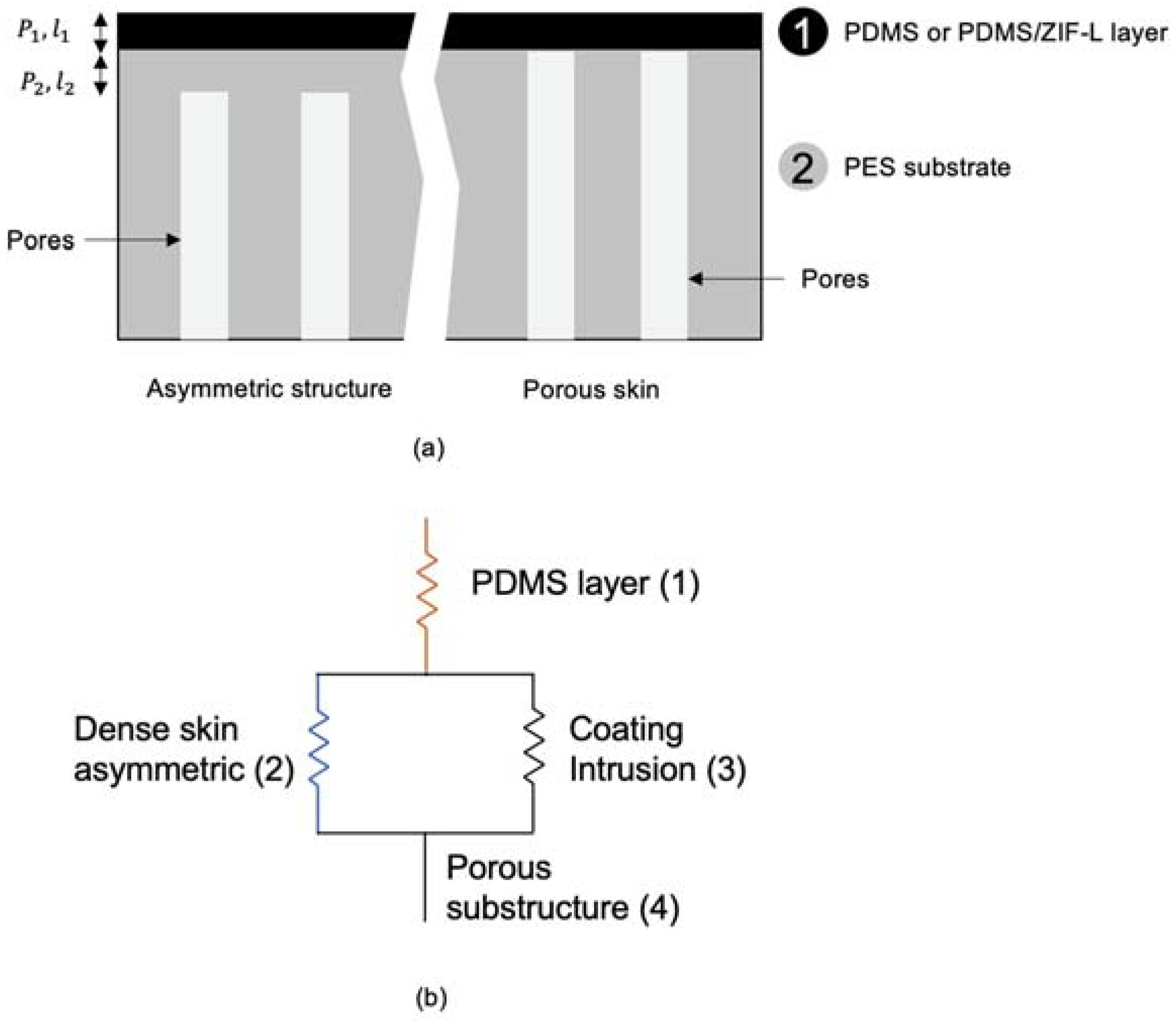 Membranes 13 00134 g001