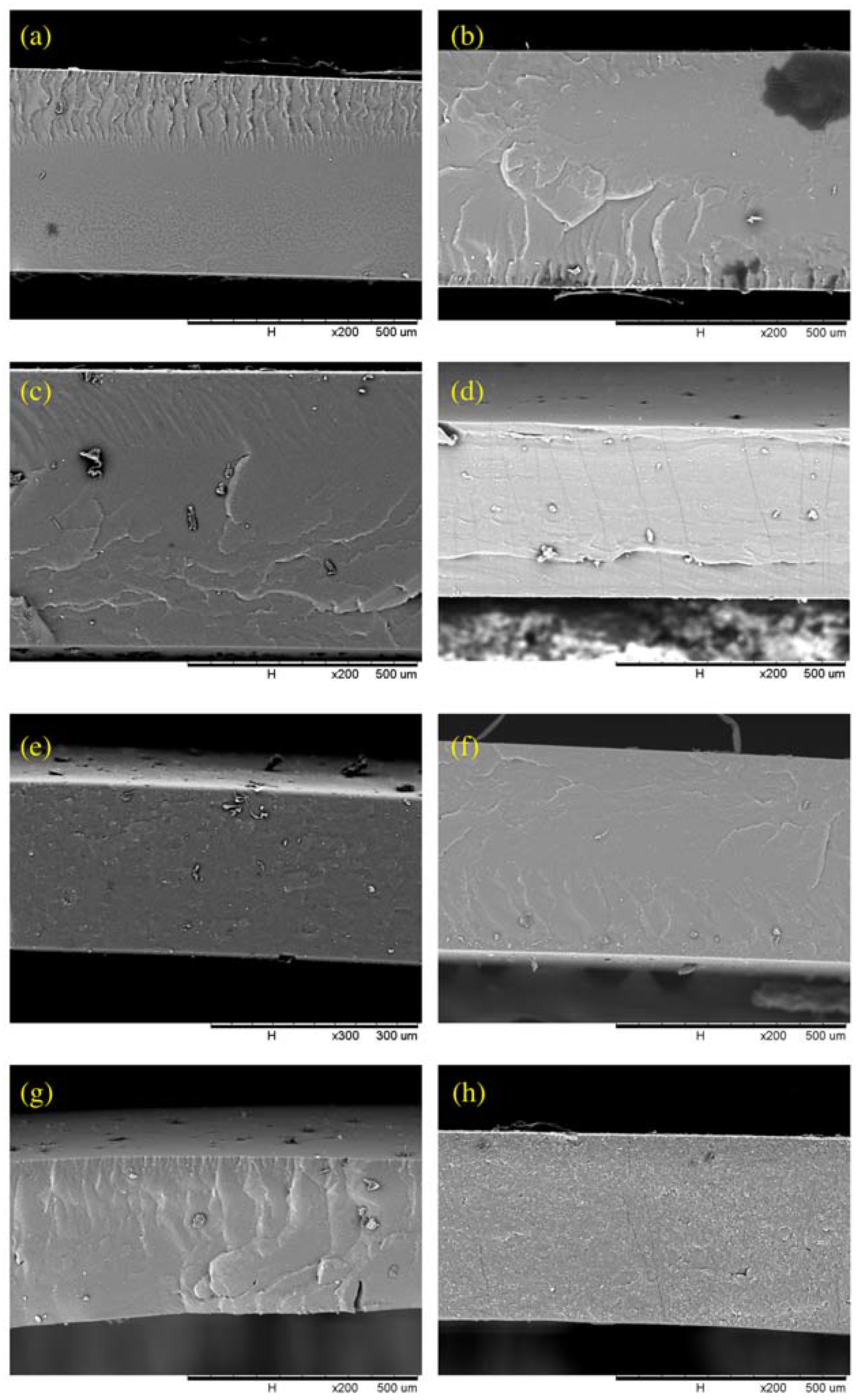 Membranes 13 00134 g004