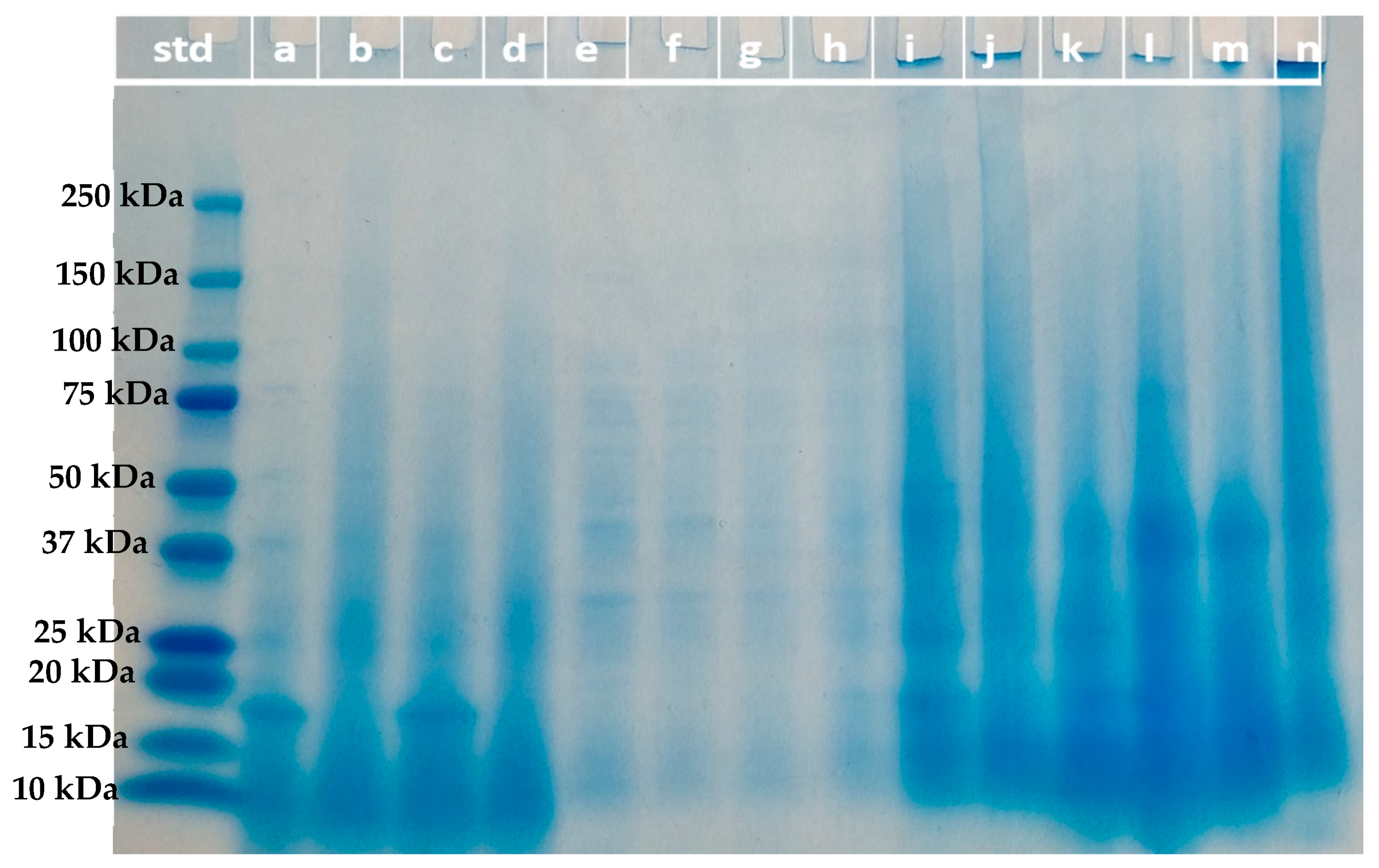 Membranes 13 00137 g003