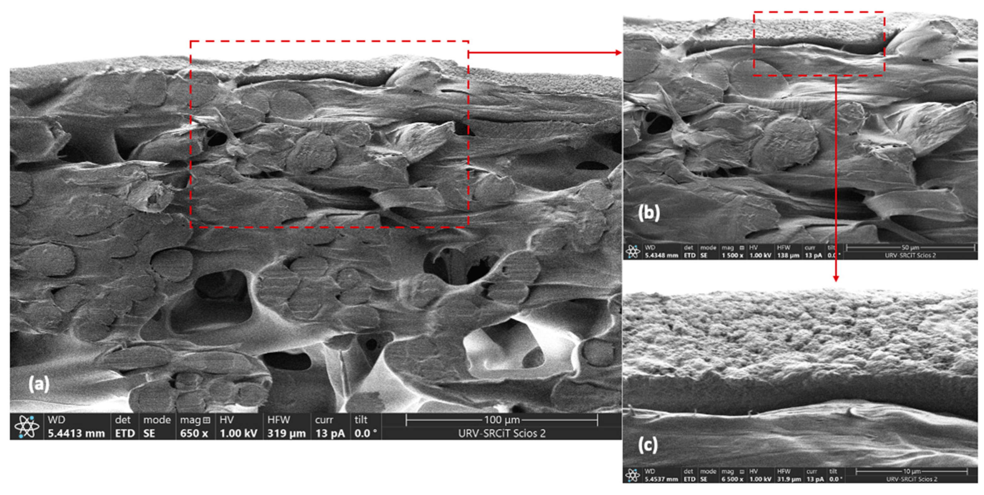 Membranes 13 00137 g004