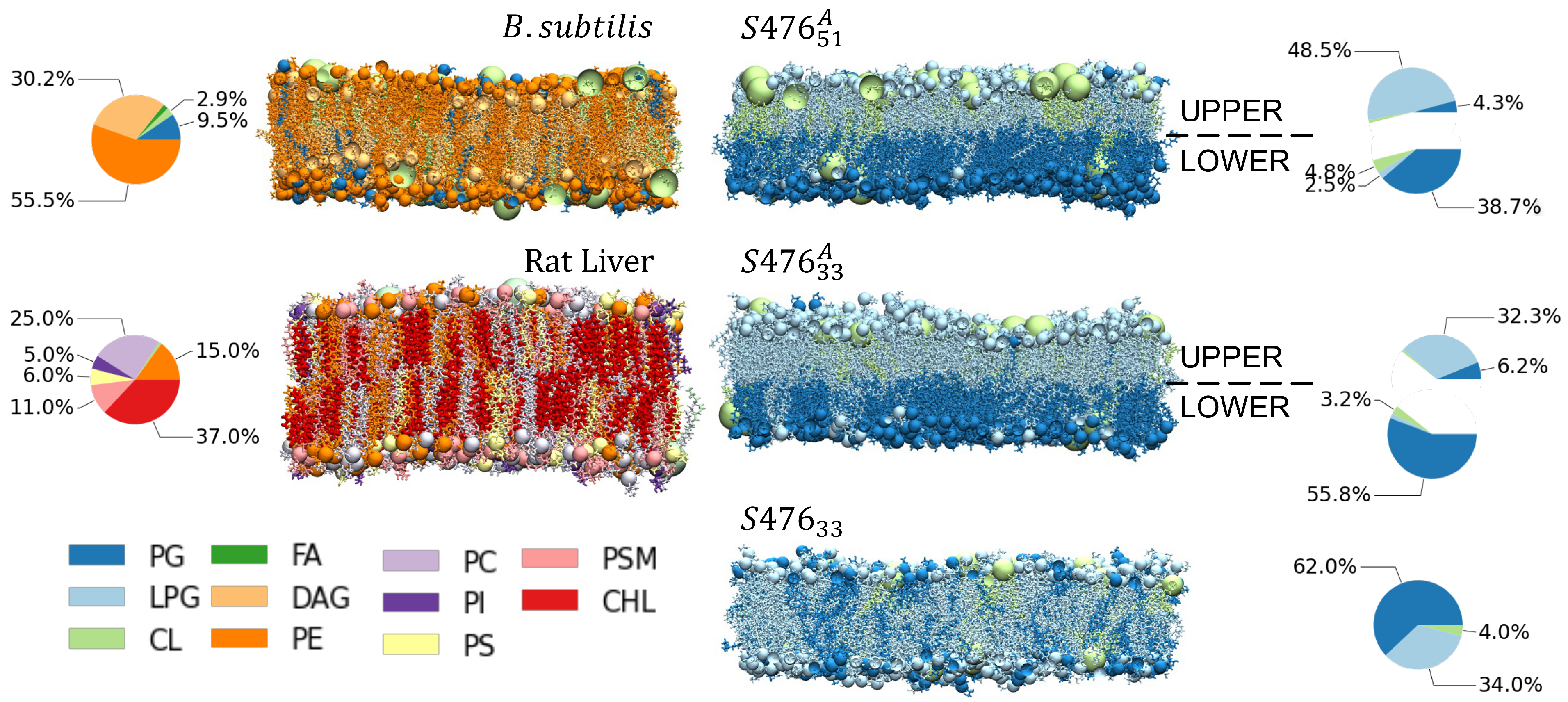 Membranes 13 00139 g001