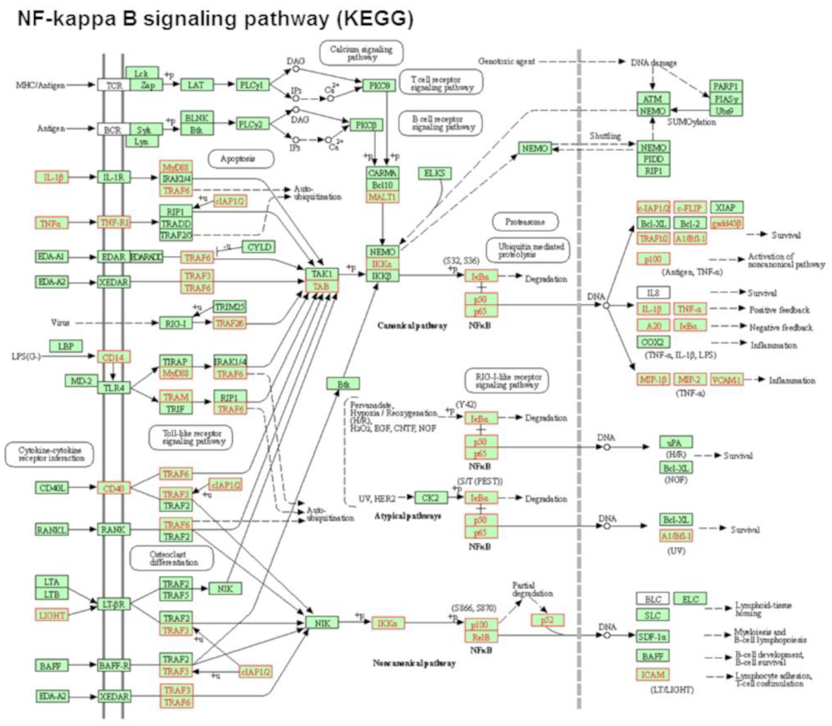 Membranes 13 00141 g003