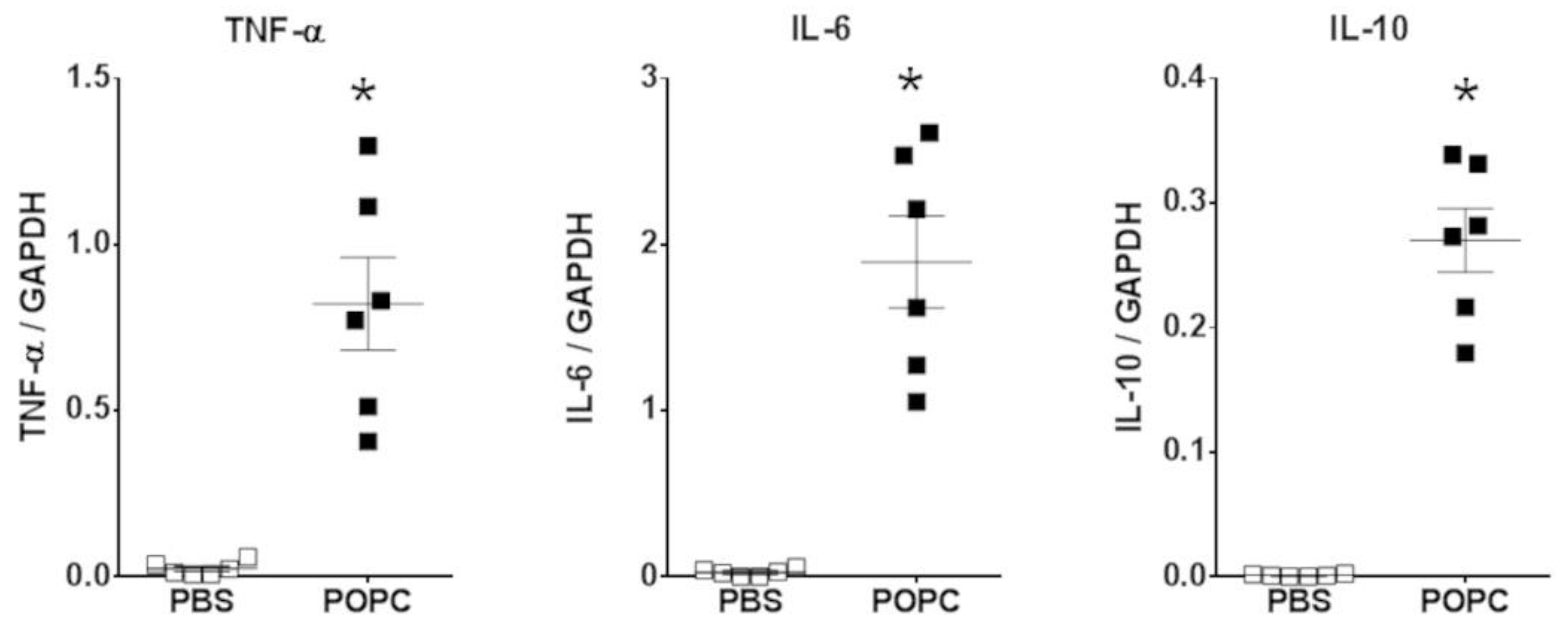 Membranes 13 00141 g004