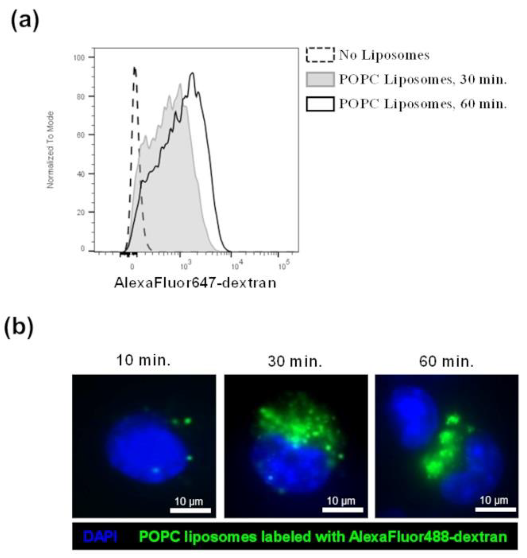 Membranes 13 00141 g005