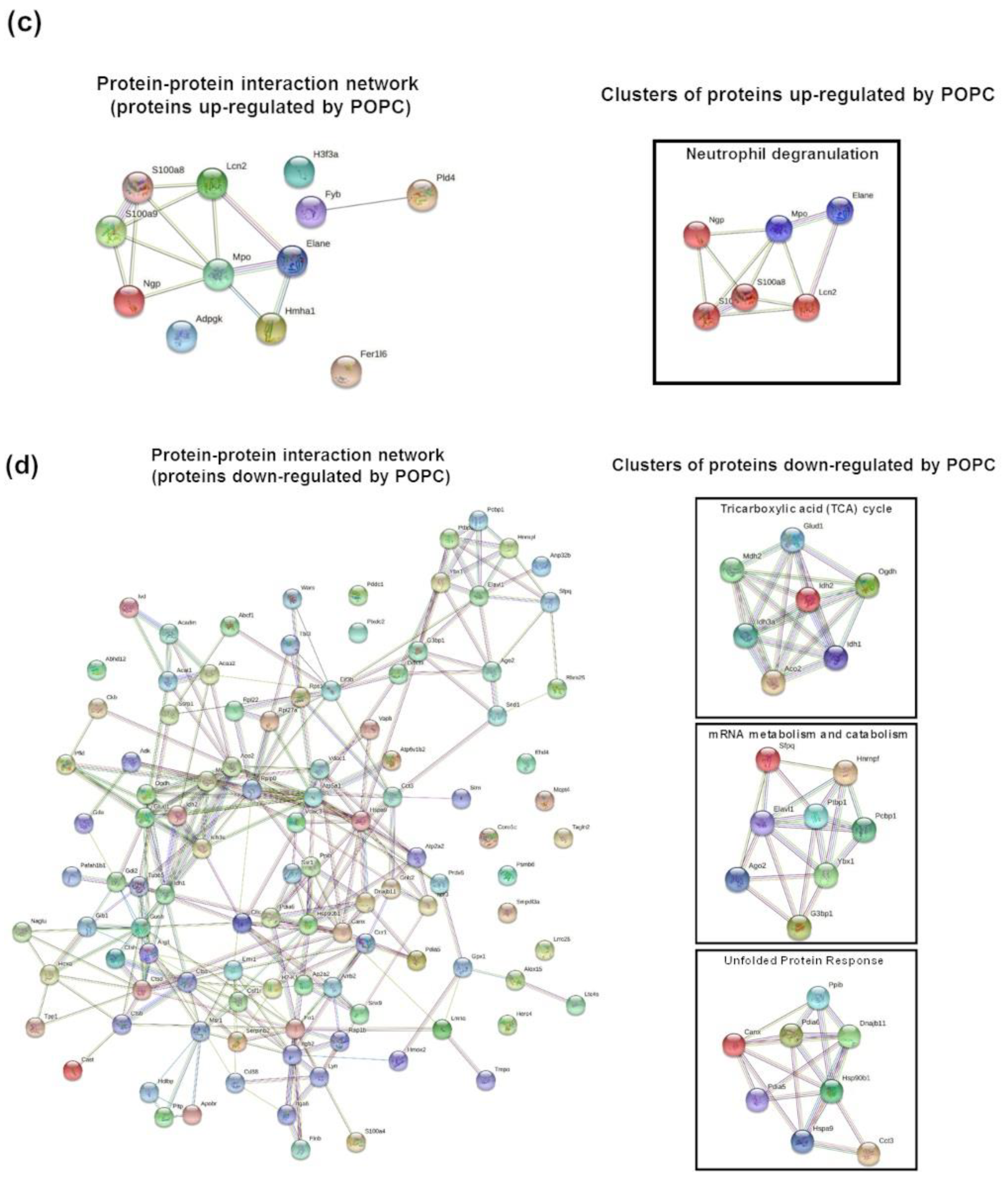 Membranes 13 00141 g009b