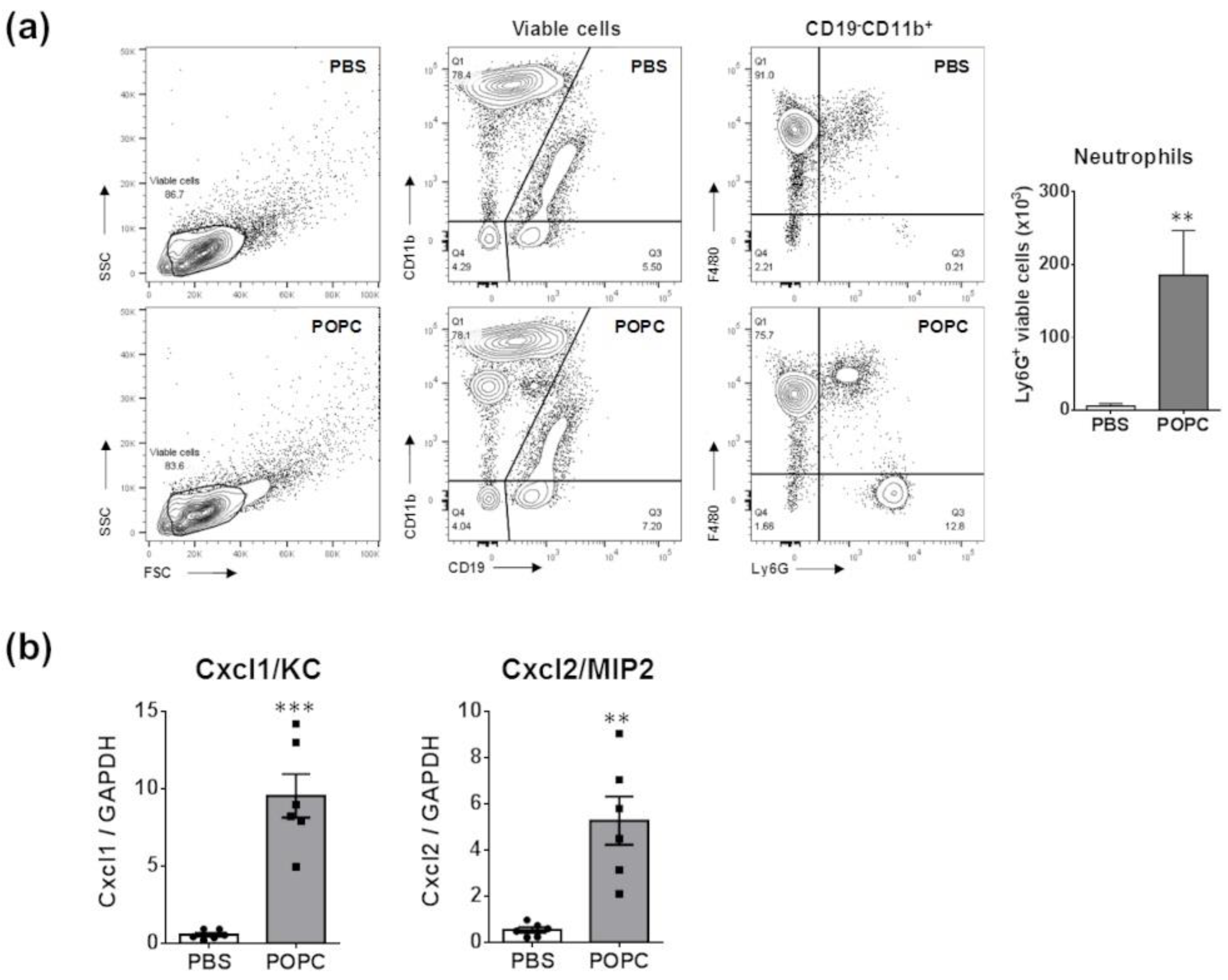 Membranes 13 00141 g010