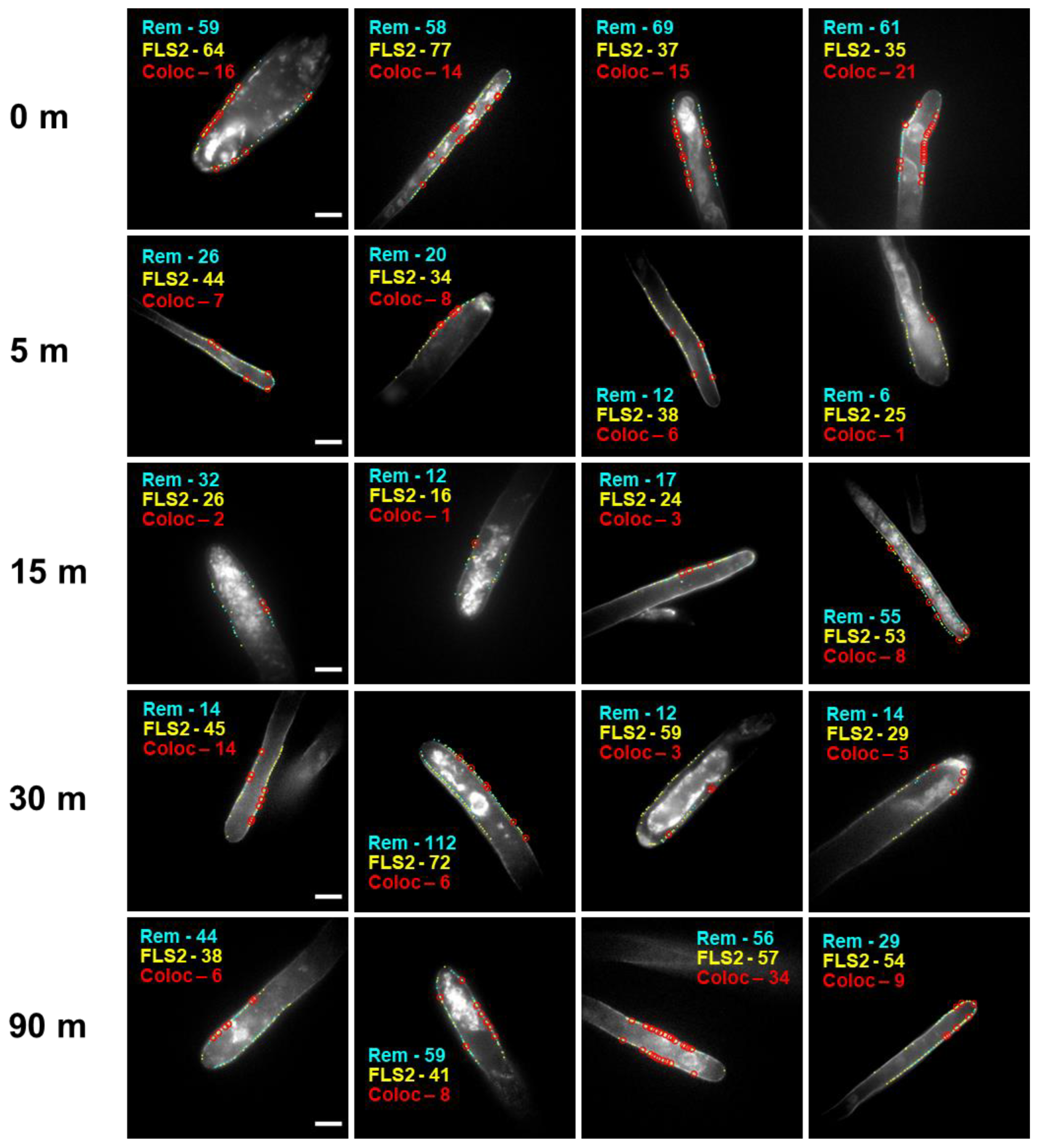 Membranes 13 00142 g001