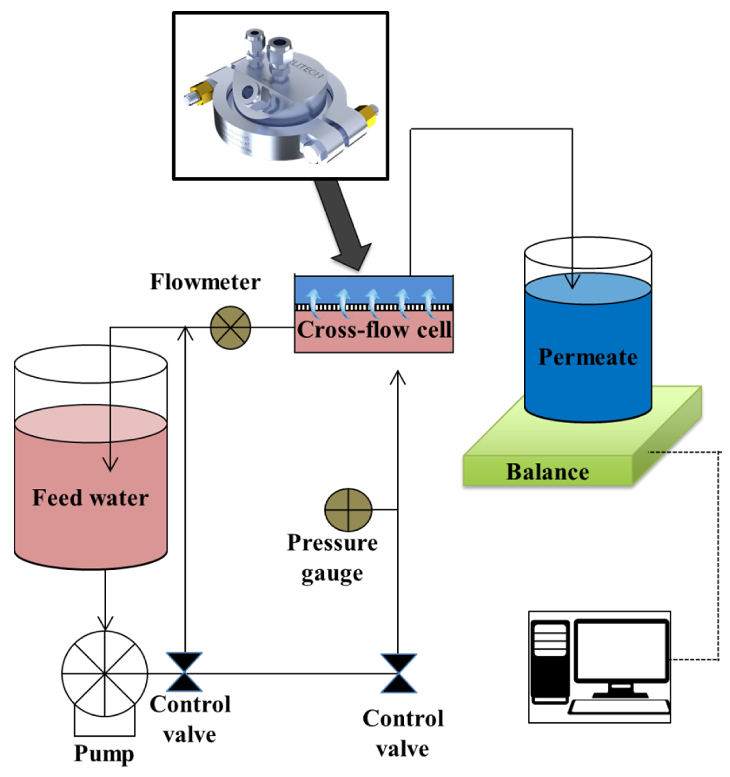 Membranes 13 00143 g002