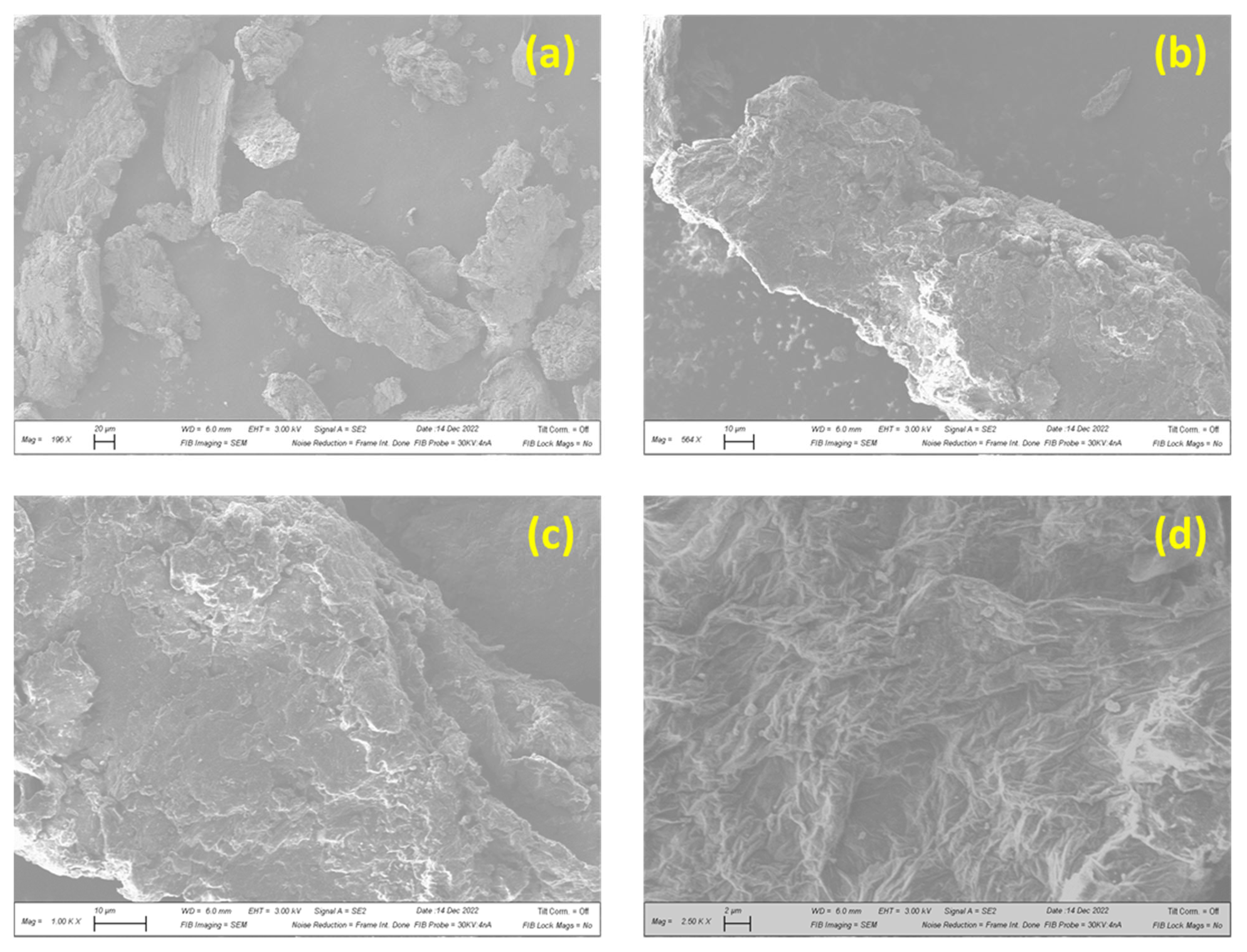 Membranes 13 00143 g004