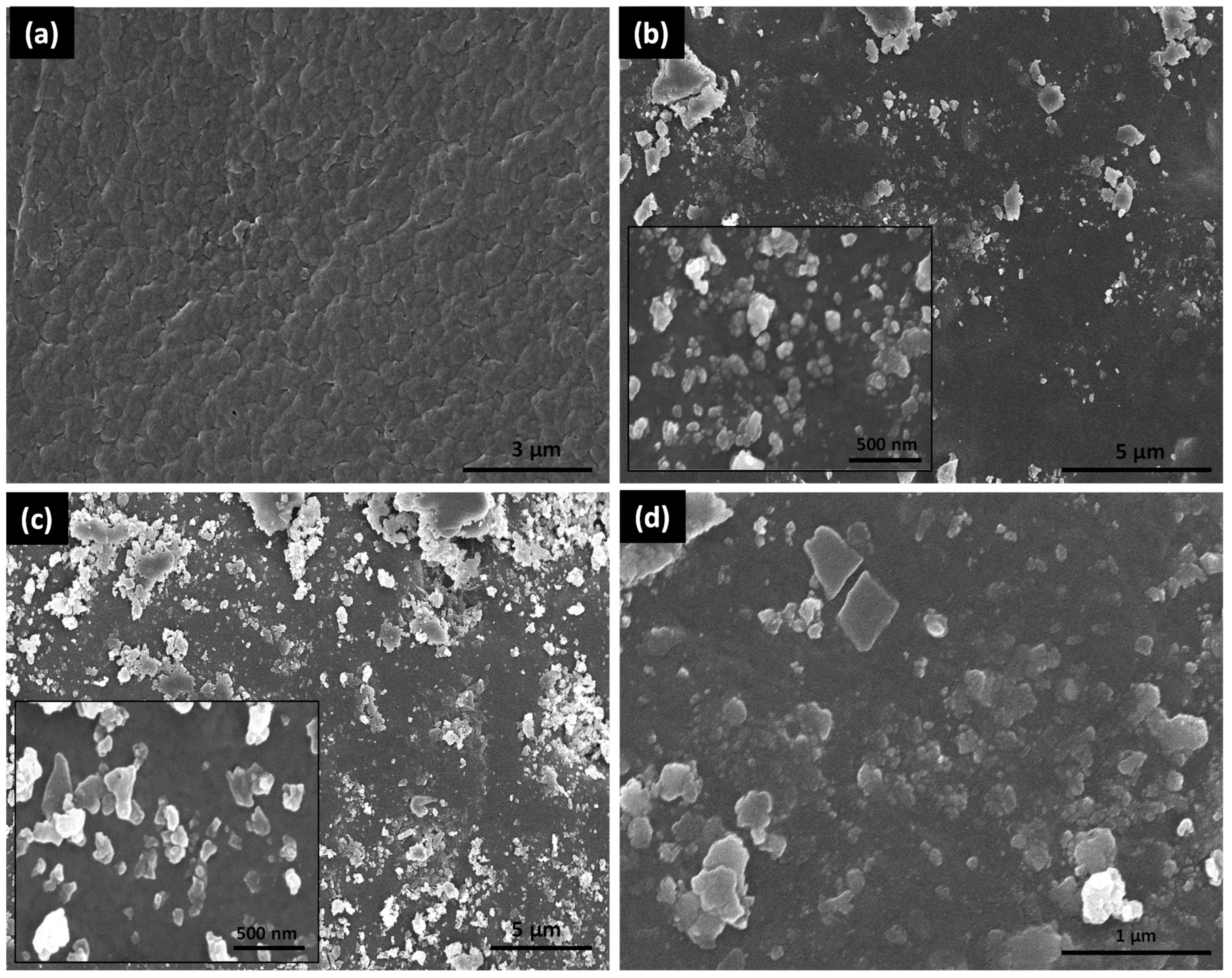 Membranes 13 00144 g003