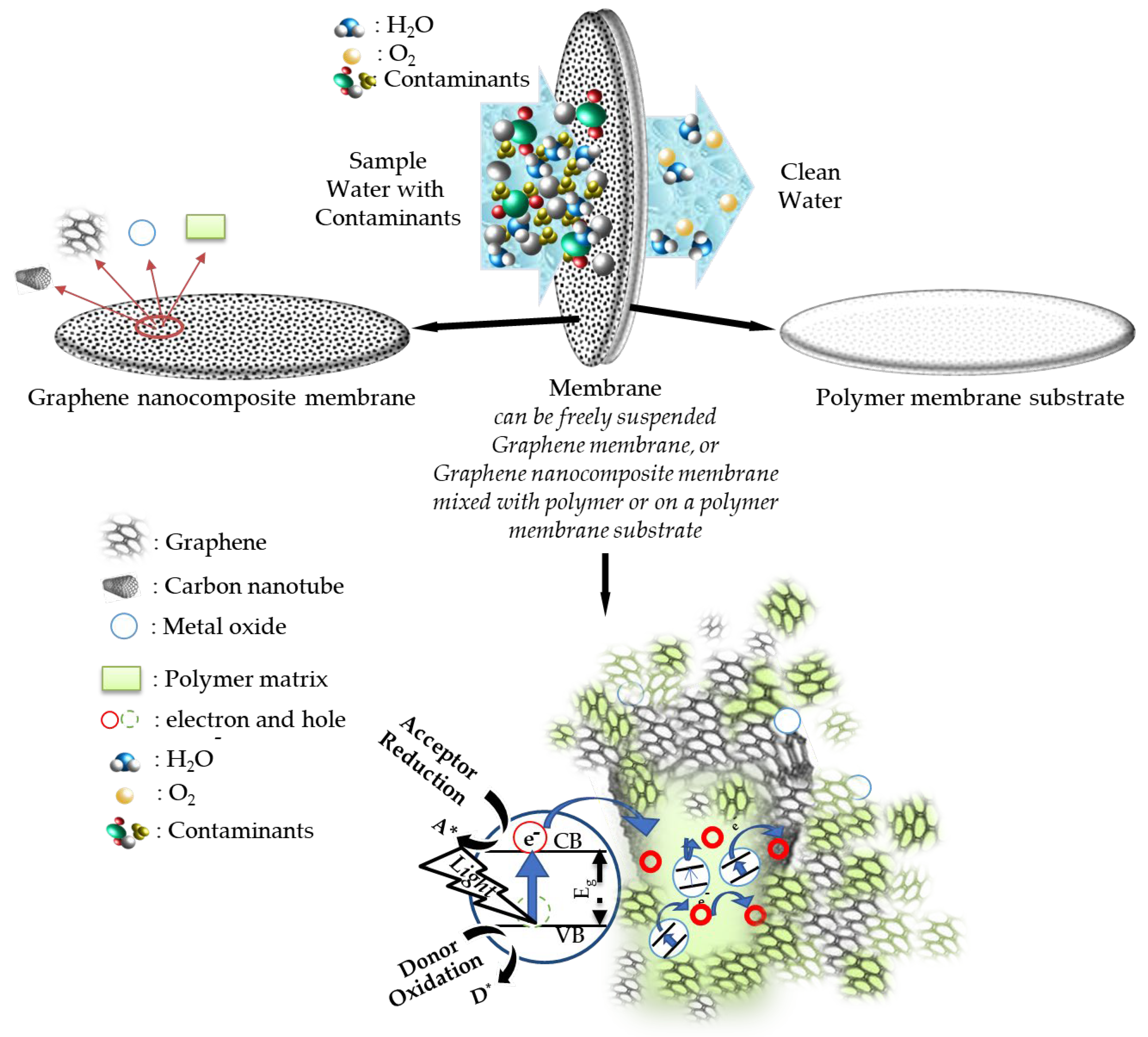 Membranes 13 00145 g010
