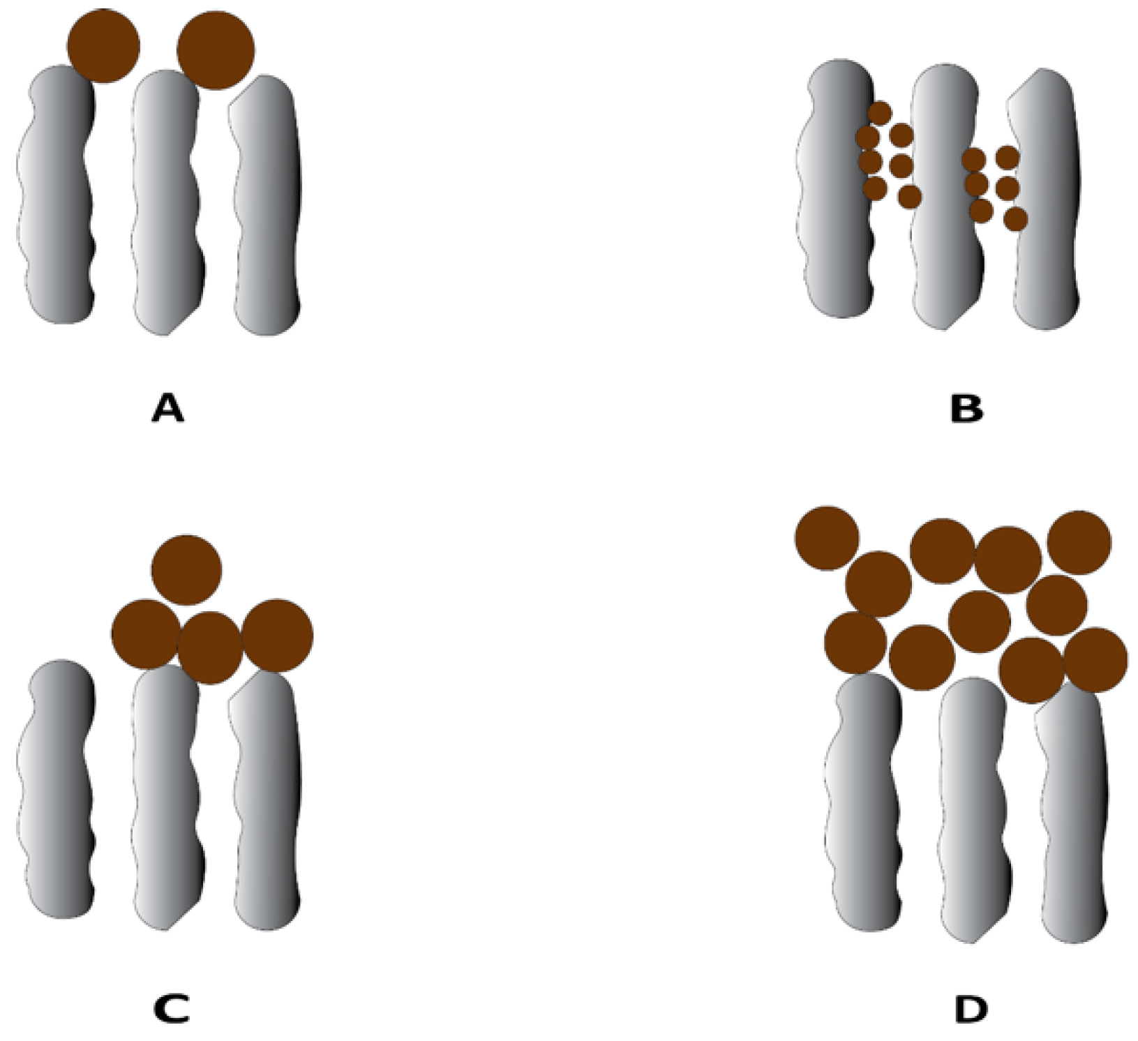 Membranes 13 00147 g001 Membranes 13 00147 g001