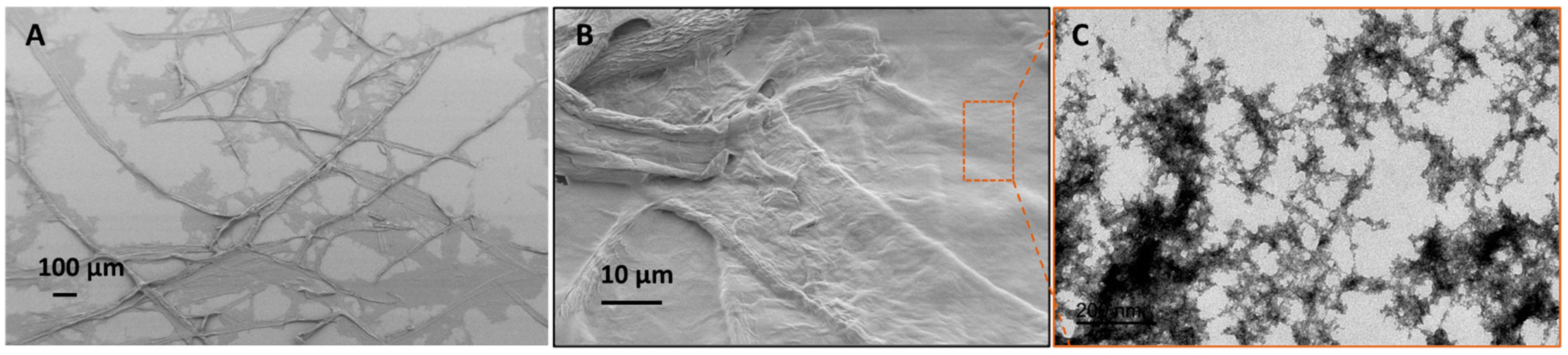 Membranes 13 00147 g004 Membranes 13 00147 g004
