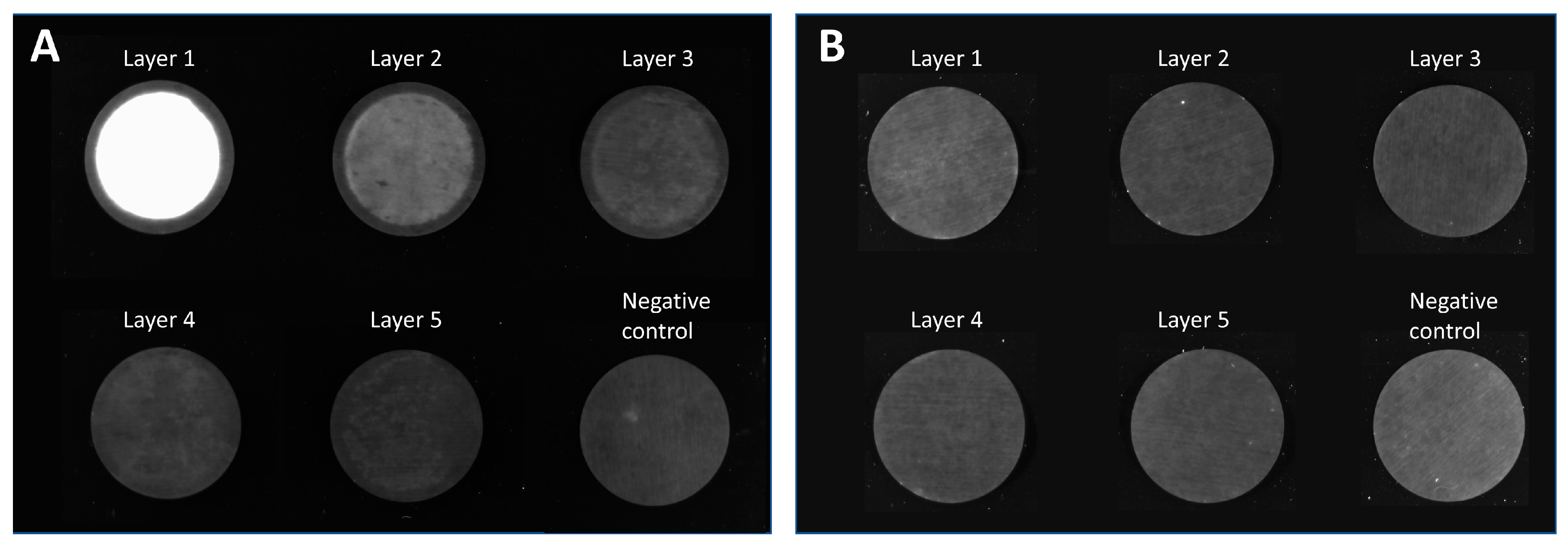 Membranes 13 00149 g002 Membranes 13 00149 g002
