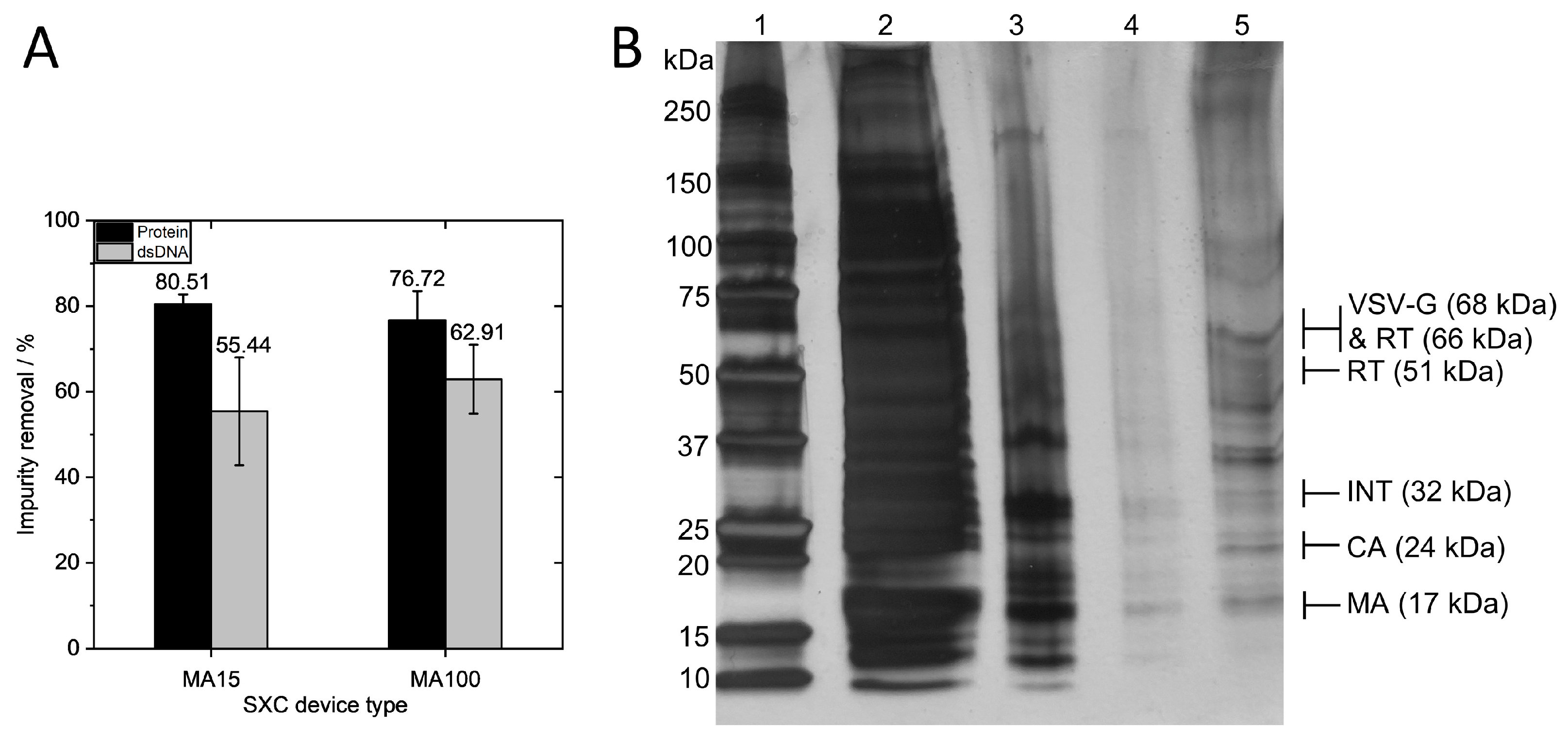 Membranes 13 00149 g004 Membranes 13 00149 g004