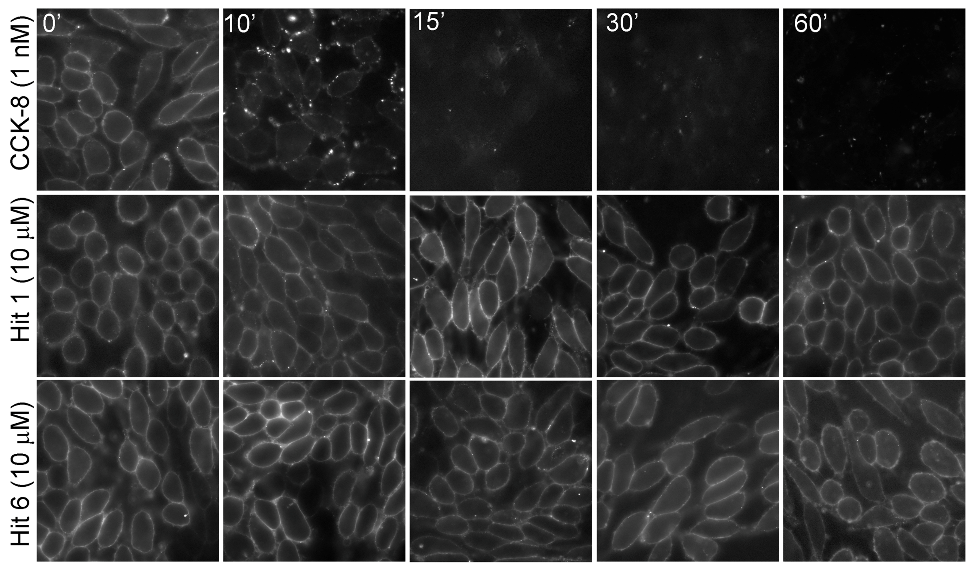 Membranes 13 00150 g004