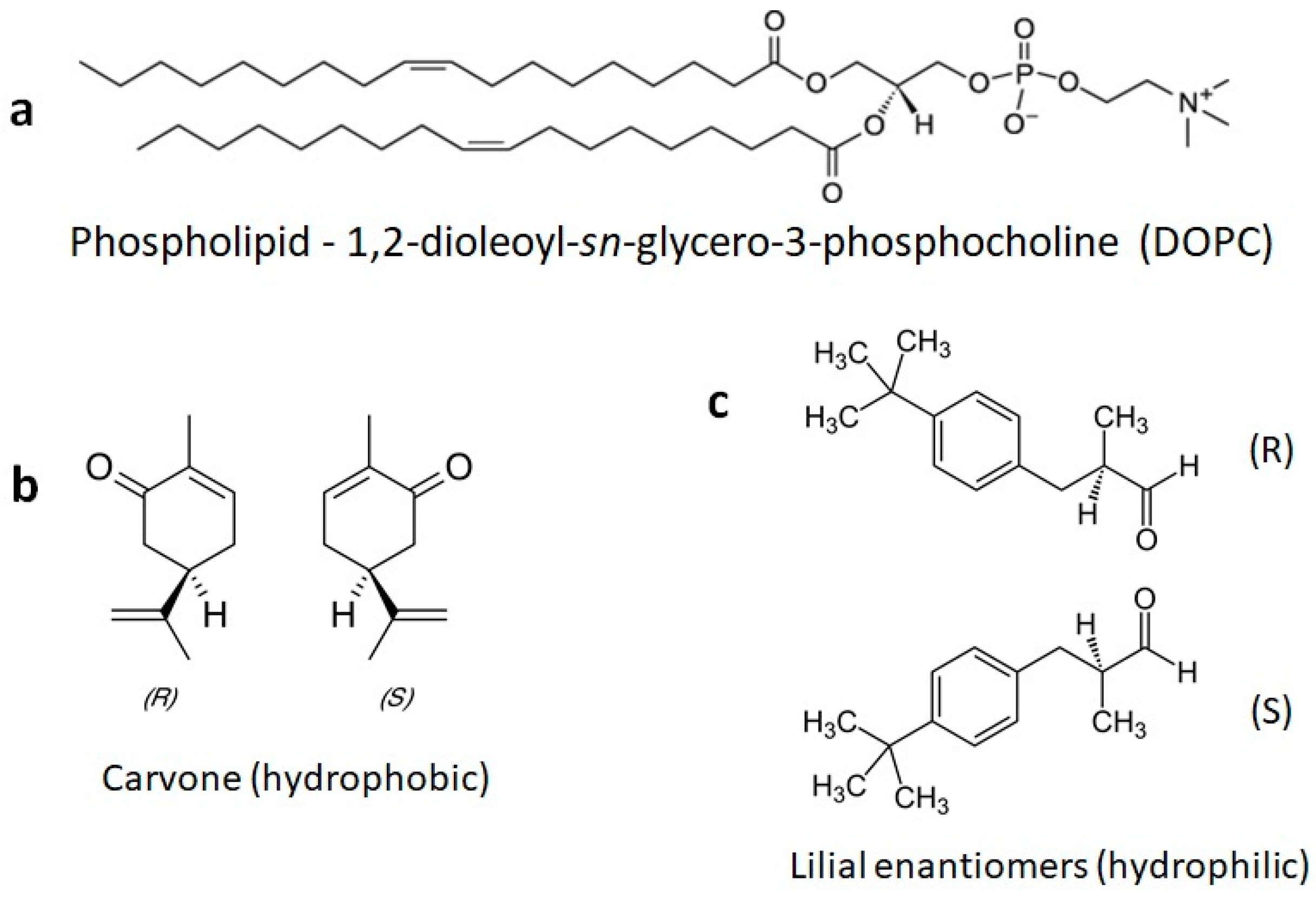 Membranes 13 00151 g001 Membranes 13 00151 g001