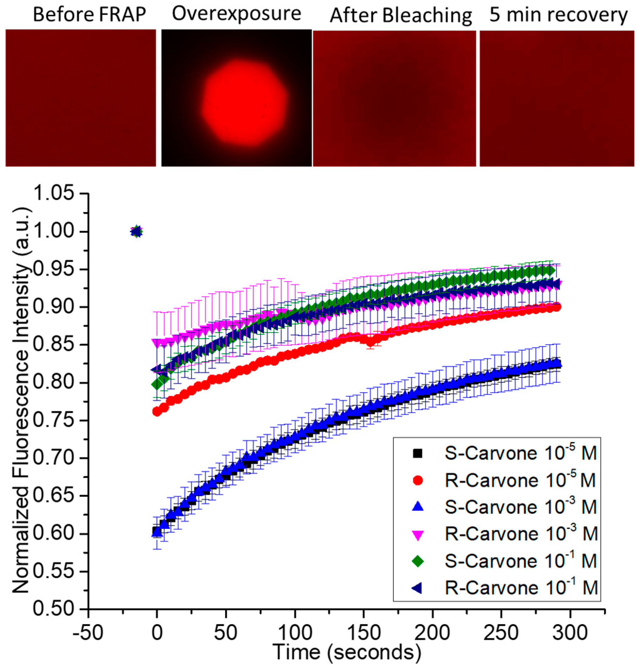 Membranes 13 00151 g002 Membranes 13 00151 g002