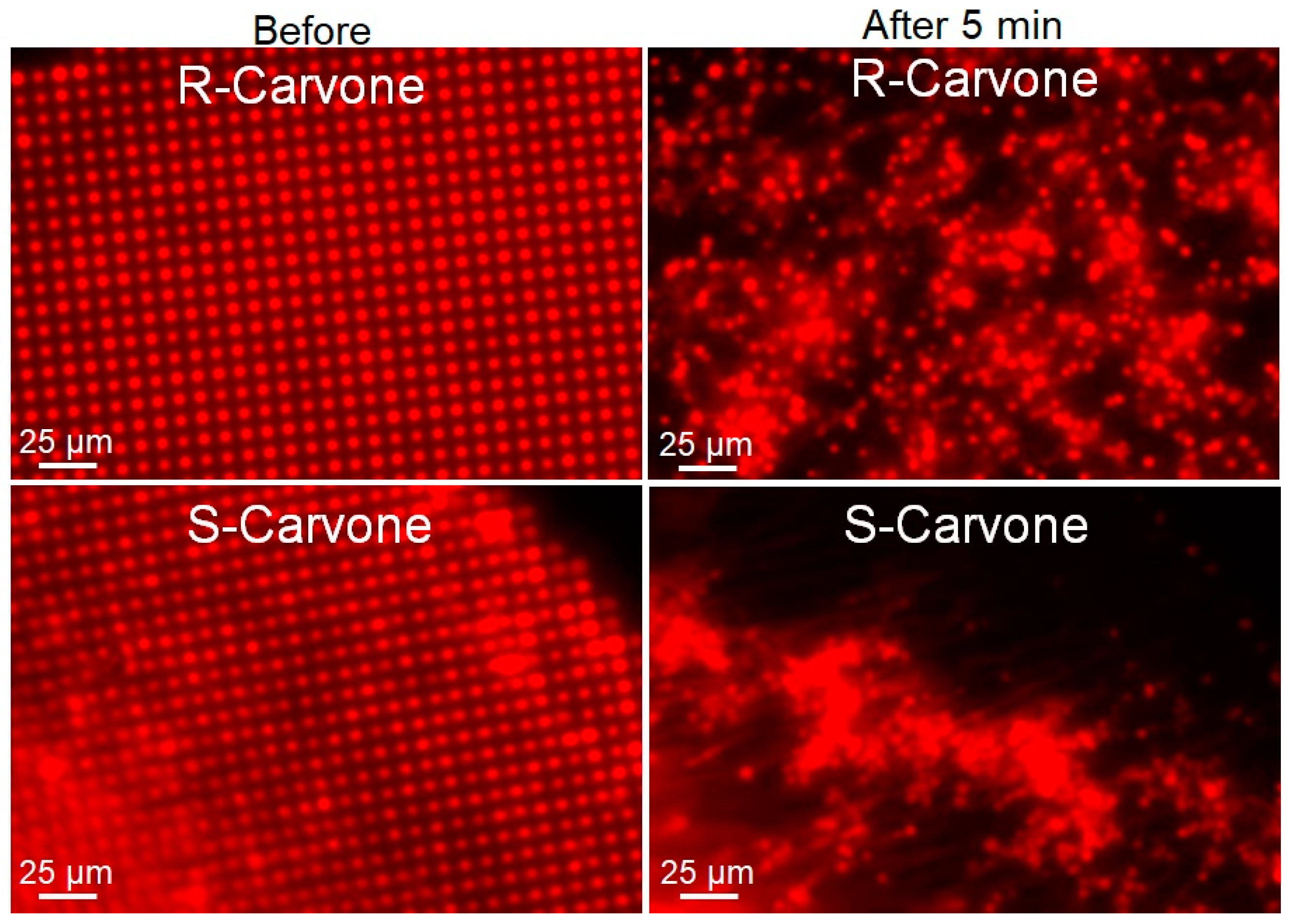 Membranes 13 00151 g005 Membranes 13 00151 g005