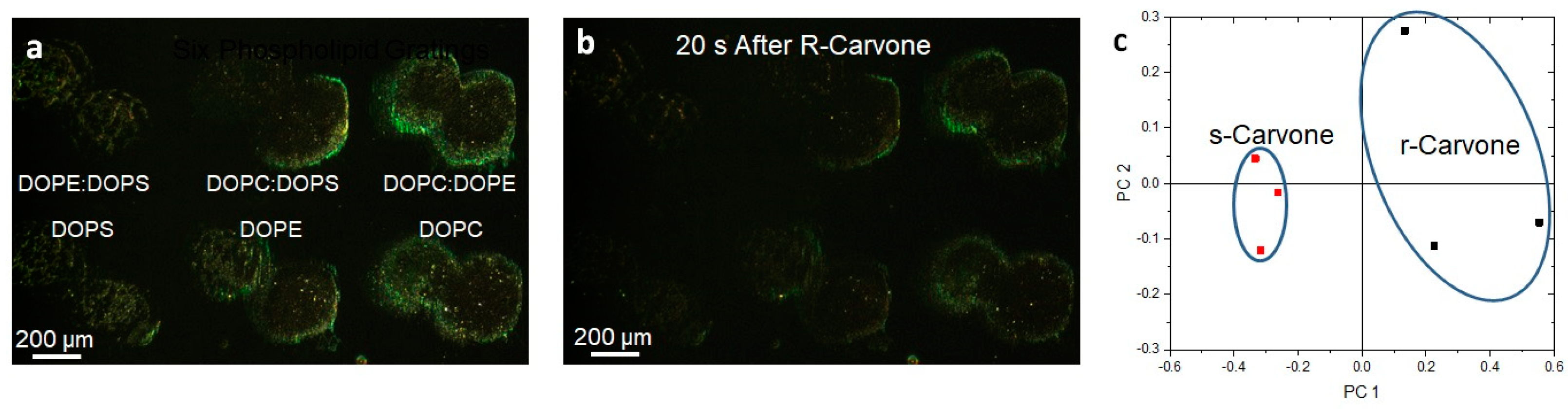 Membranes 13 00151 g007 Membranes 13 00151 g007
