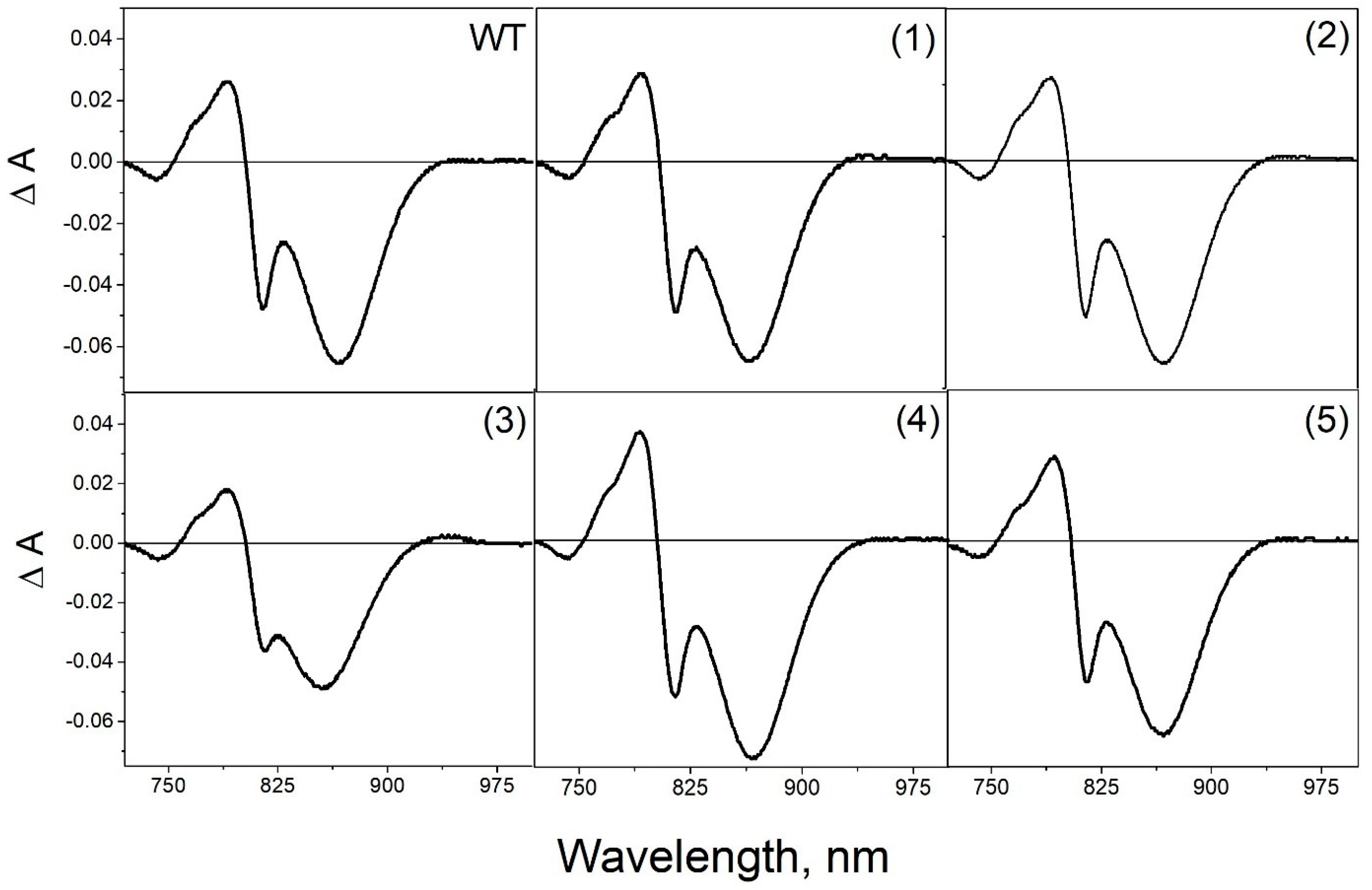 Membranes 13 00154 g005