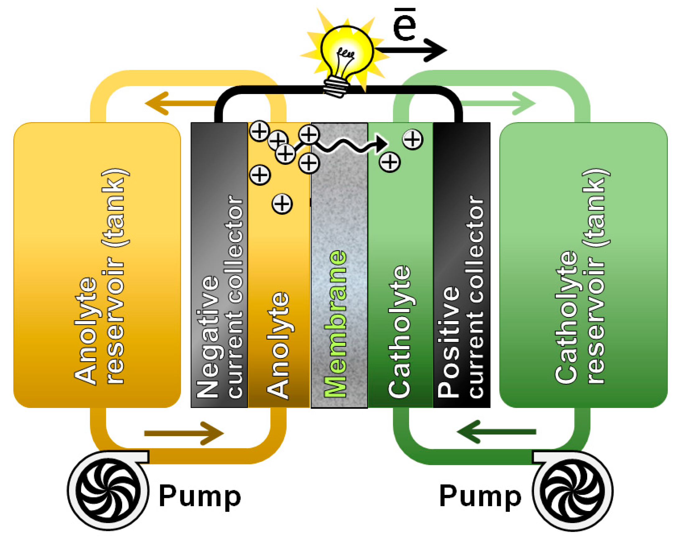 Membranes 13 00155 g001