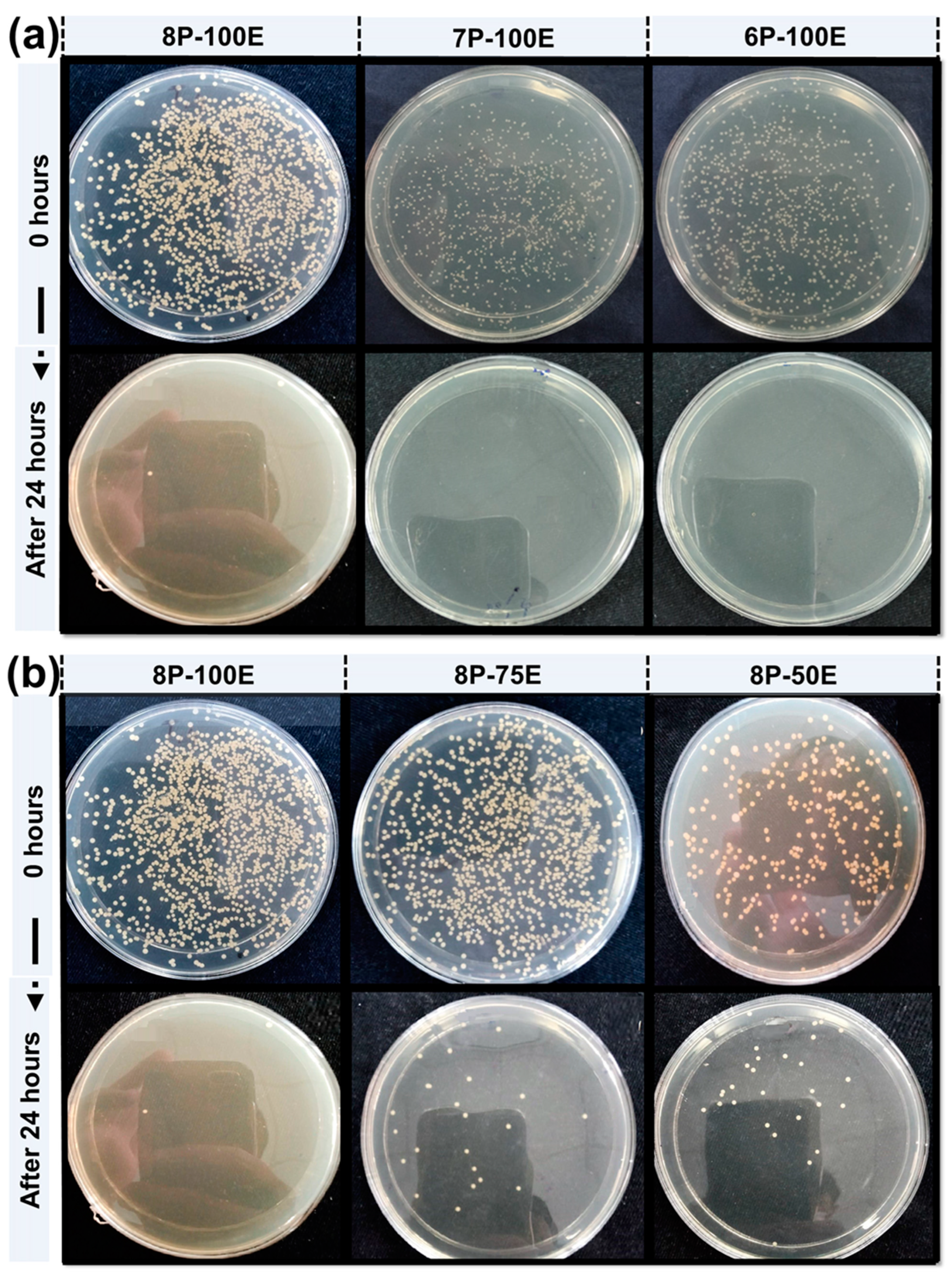 Membranes 13 00156 g009 Membranes 13 00156 g009