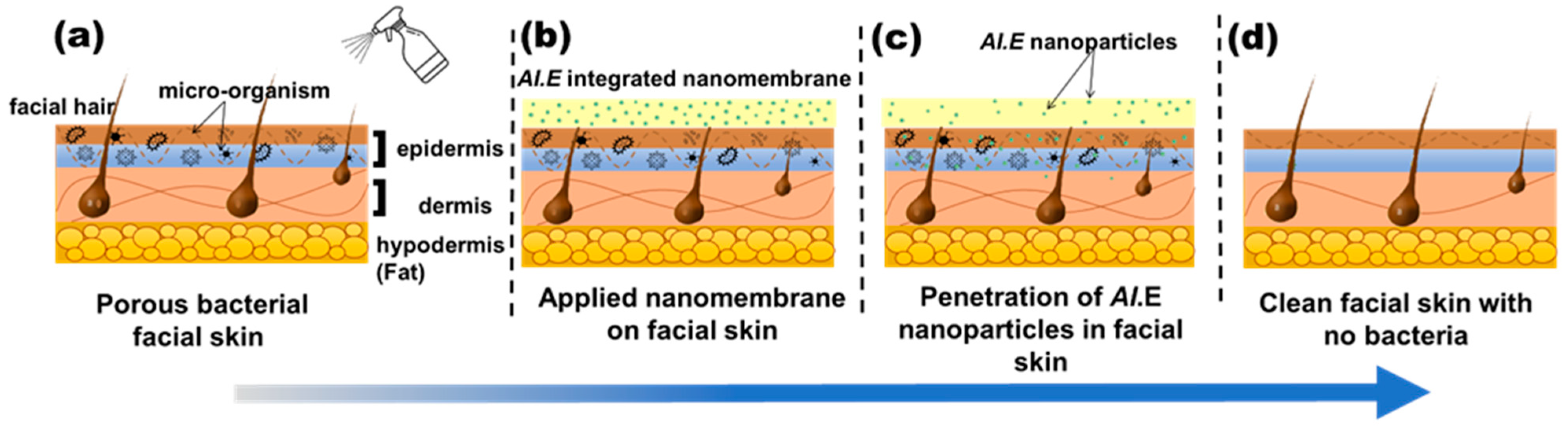 Membranes 13 00156 g010 Membranes 13 00156 g010