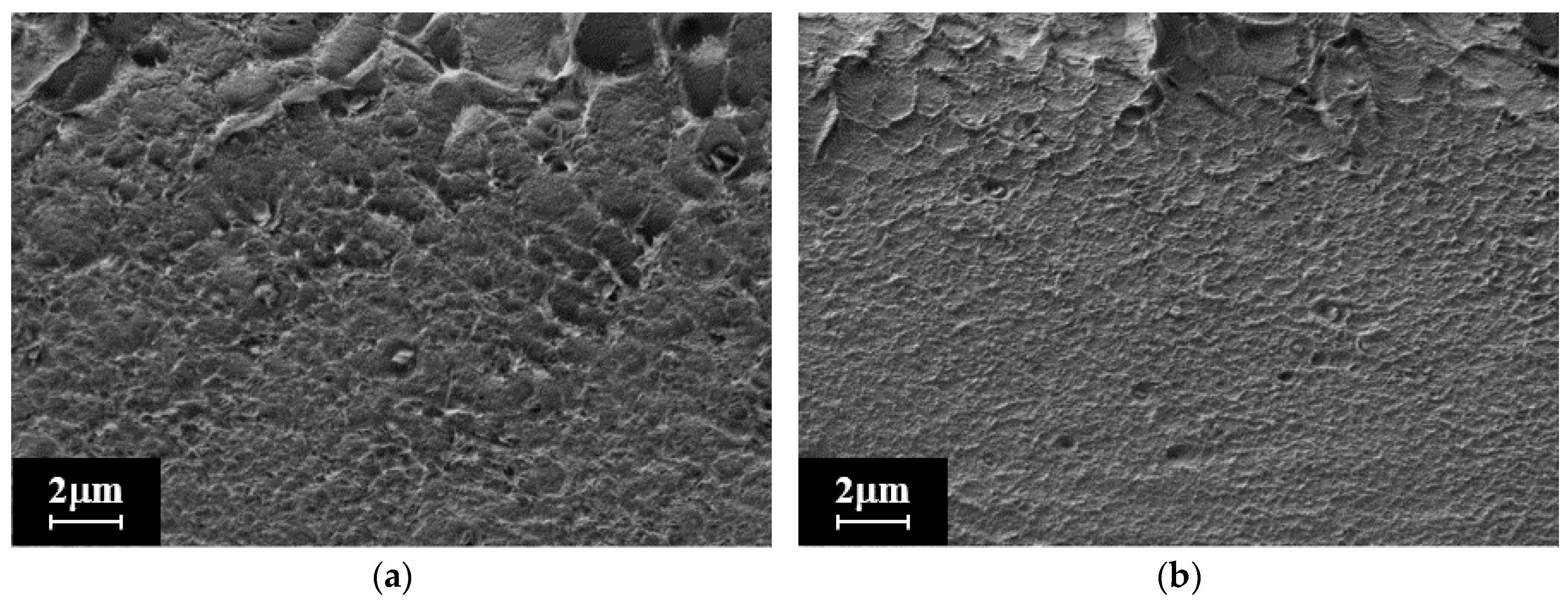 Membranes 13 00160 g004