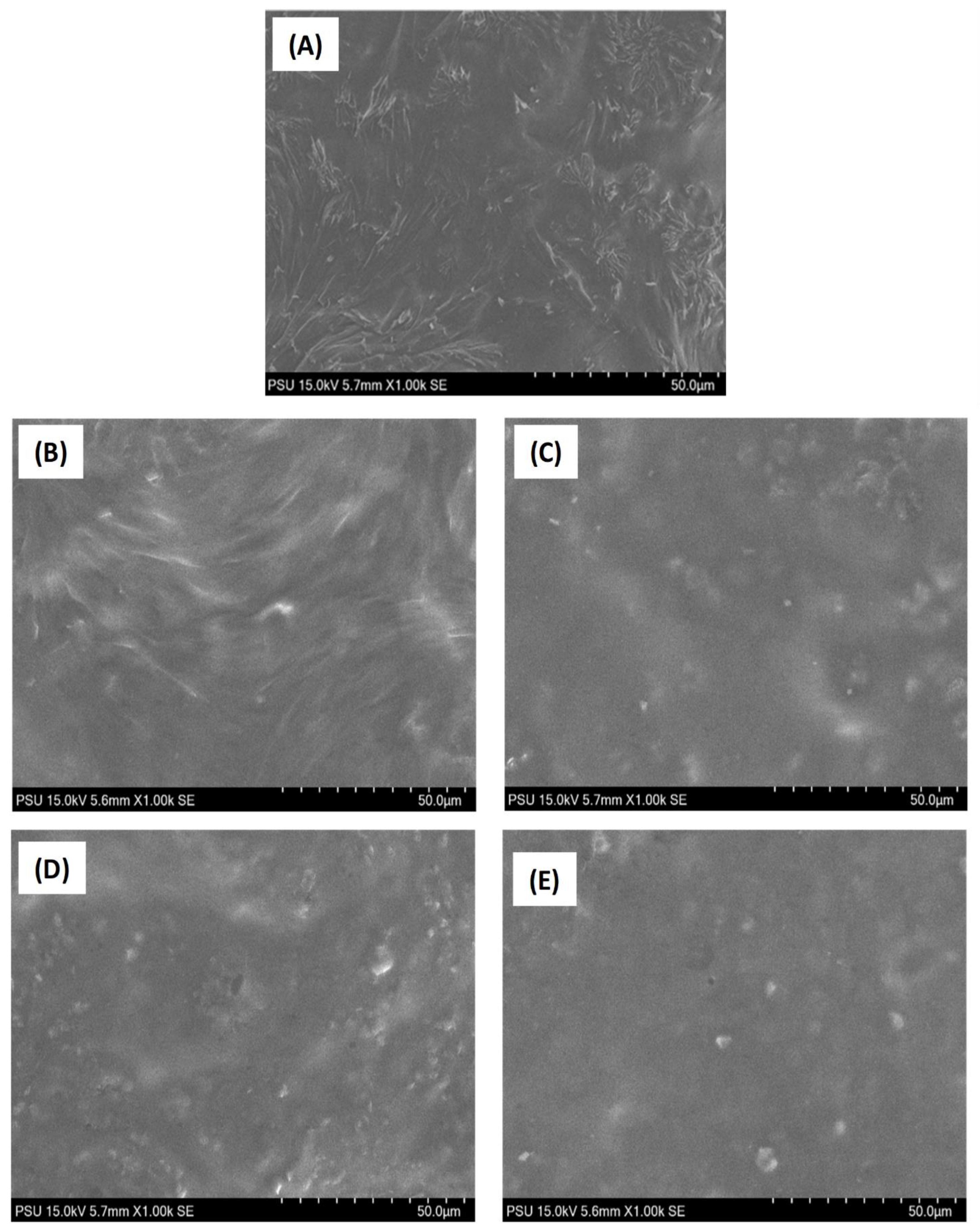 Membranes 13 00161 g006 Membranes 13 00161 g006
