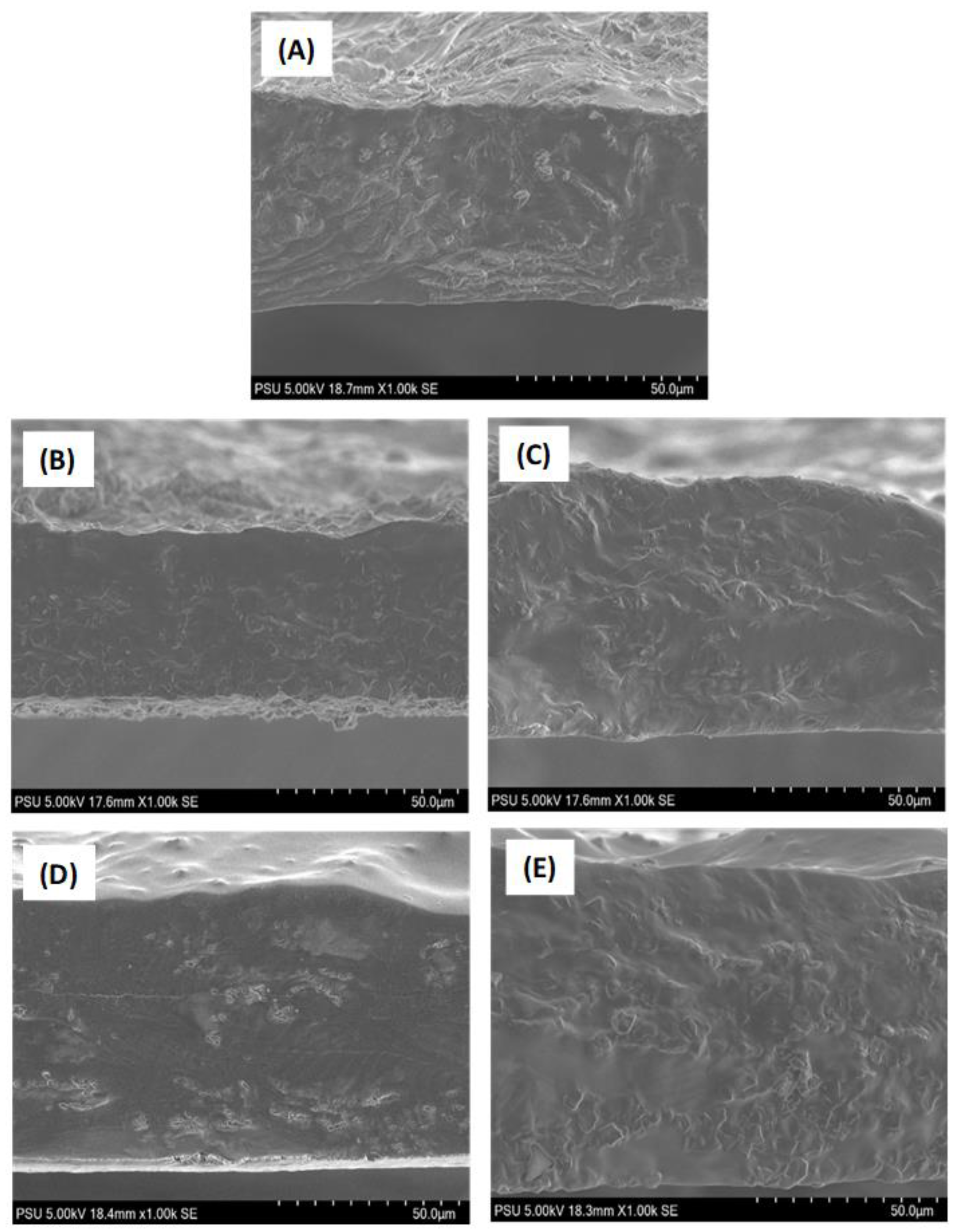 Membranes 13 00161 g007 Membranes 13 00161 g007