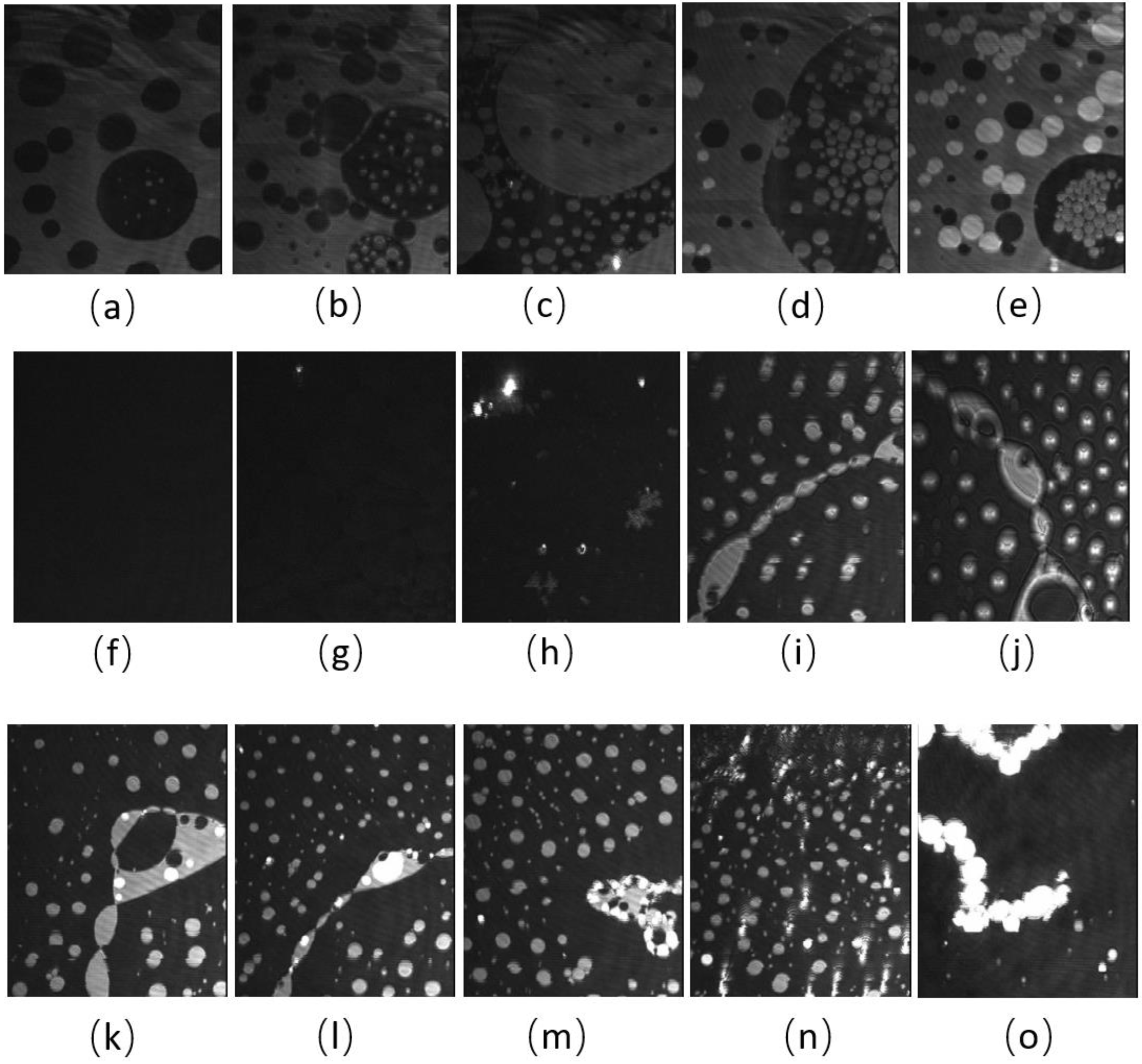 Membranes 13 00165 g003 Membranes 13 00165 g003