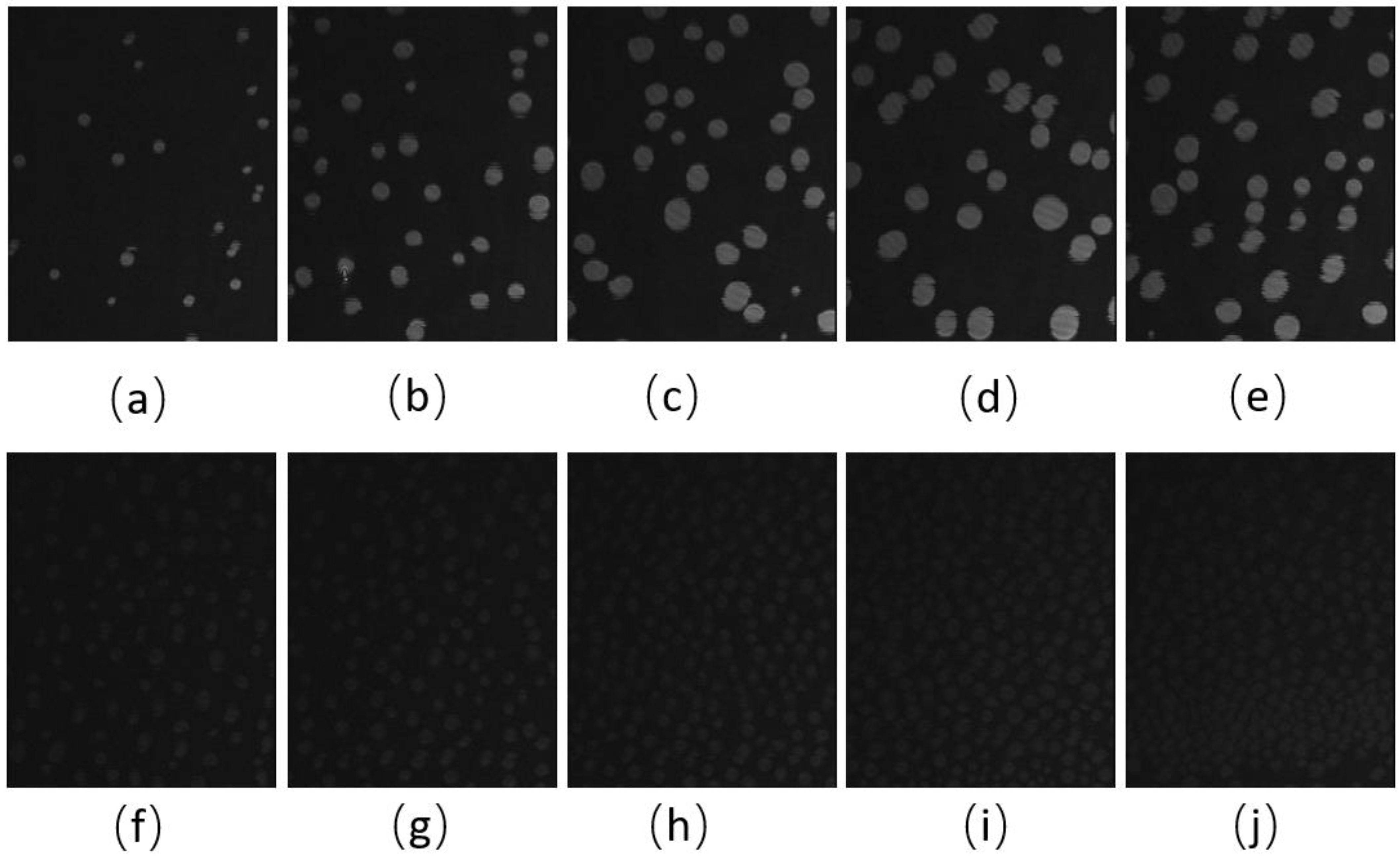 Membranes 13 00165 g005 Membranes 13 00165 g005