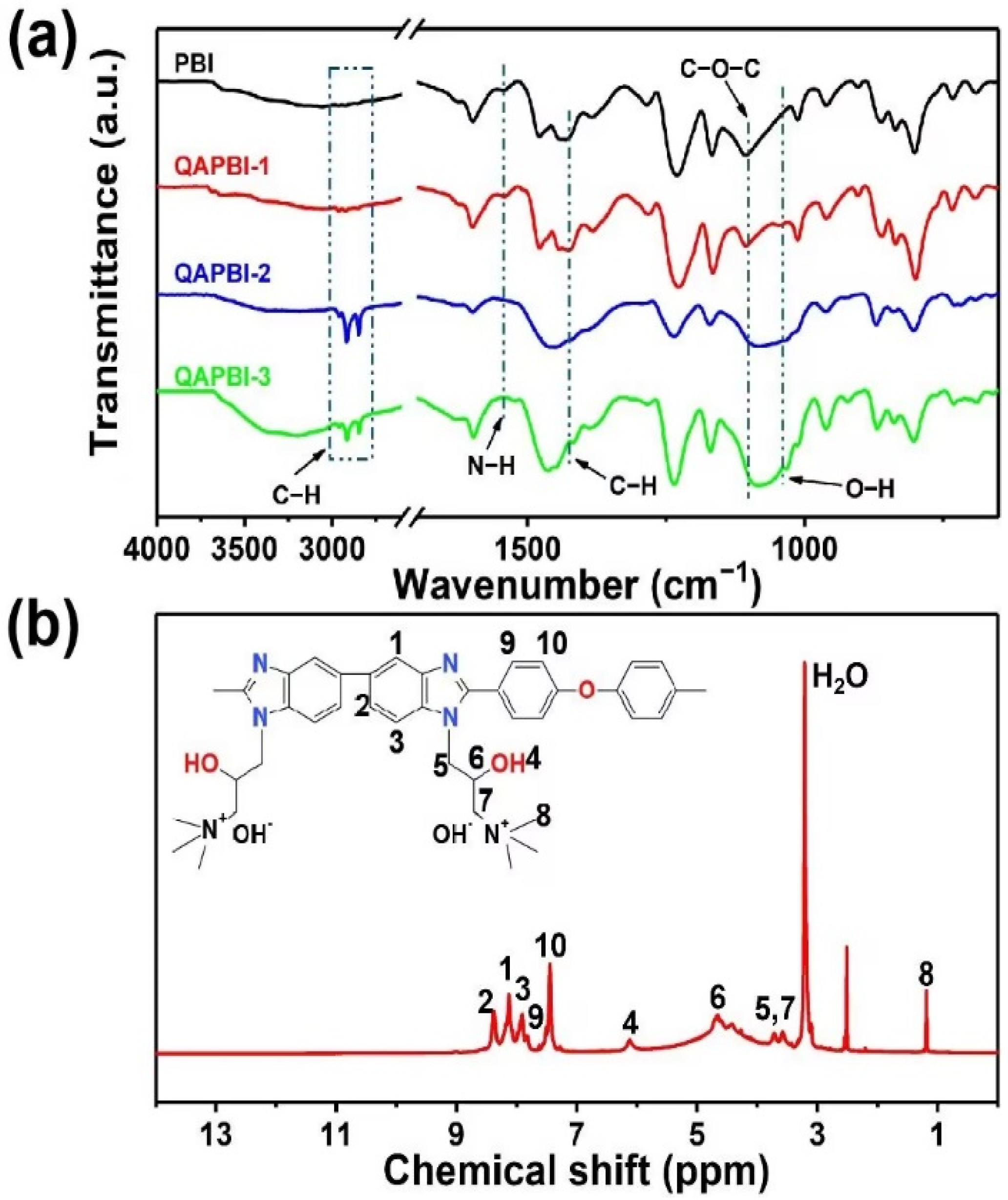Membranes 13 00166 g001