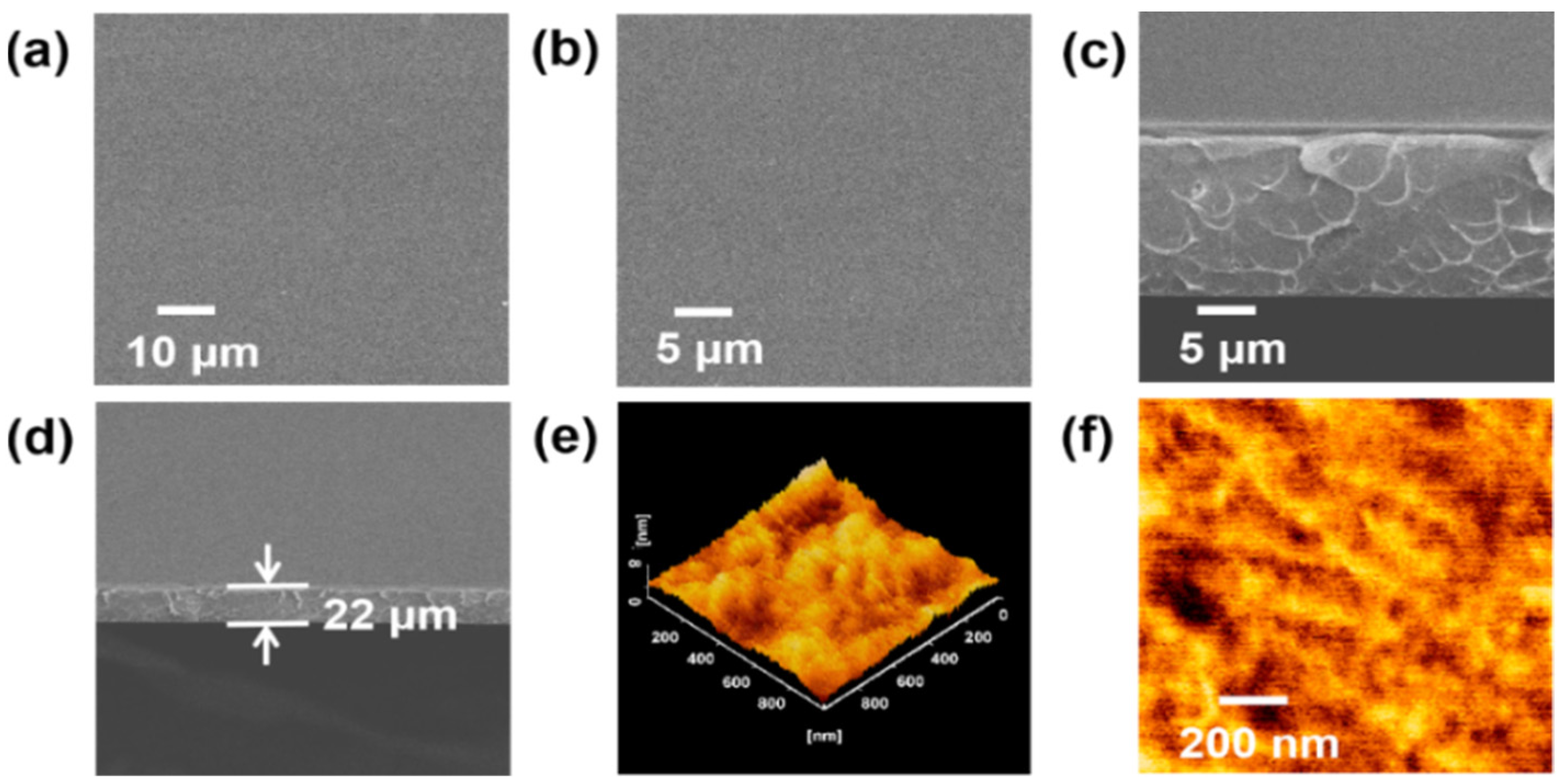 Membranes 13 00166 g002