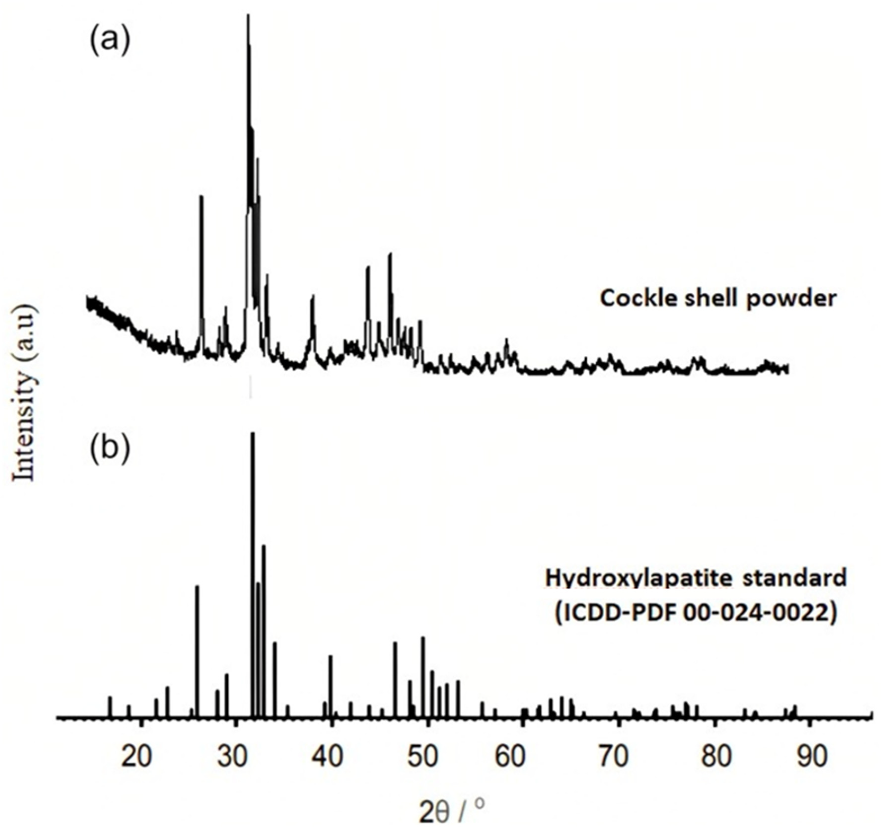 Membranes 13 00170 g003
